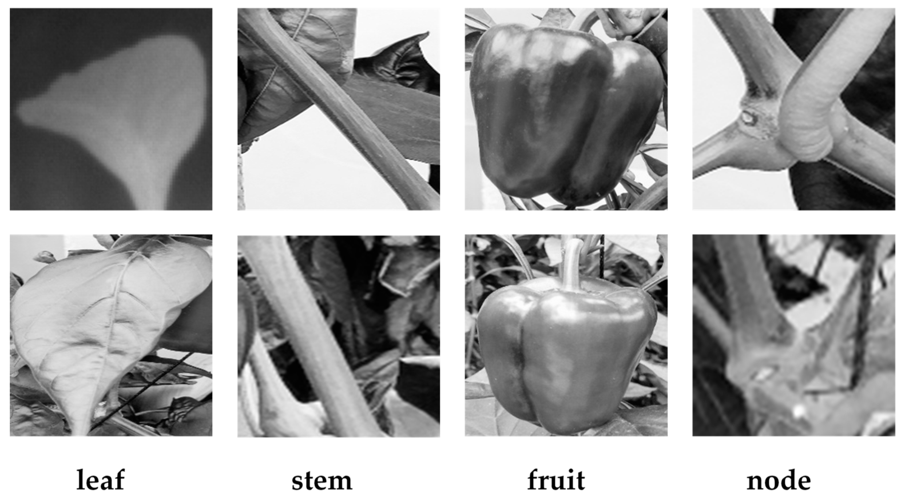 Applsci 11 09583 g011 Applsci 11 09583 g011