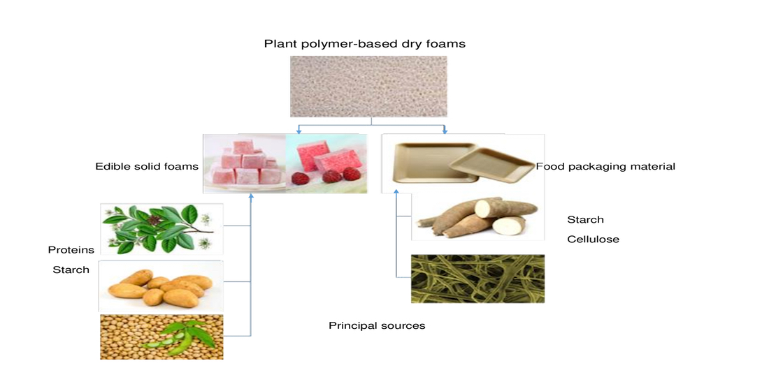Applied Sciences | Free Full-Text | Applications of Plant Polymer-Based  Solid Foams: Current Trends in the Food Industry | HTML