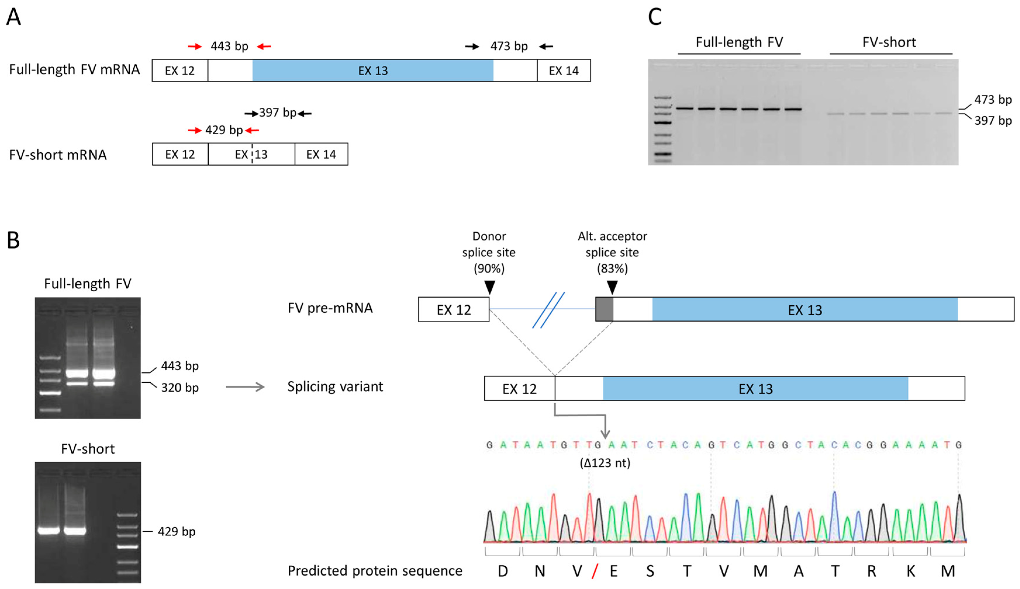 Applsci 11 09621 g003 Applsci 11 09621 g003
