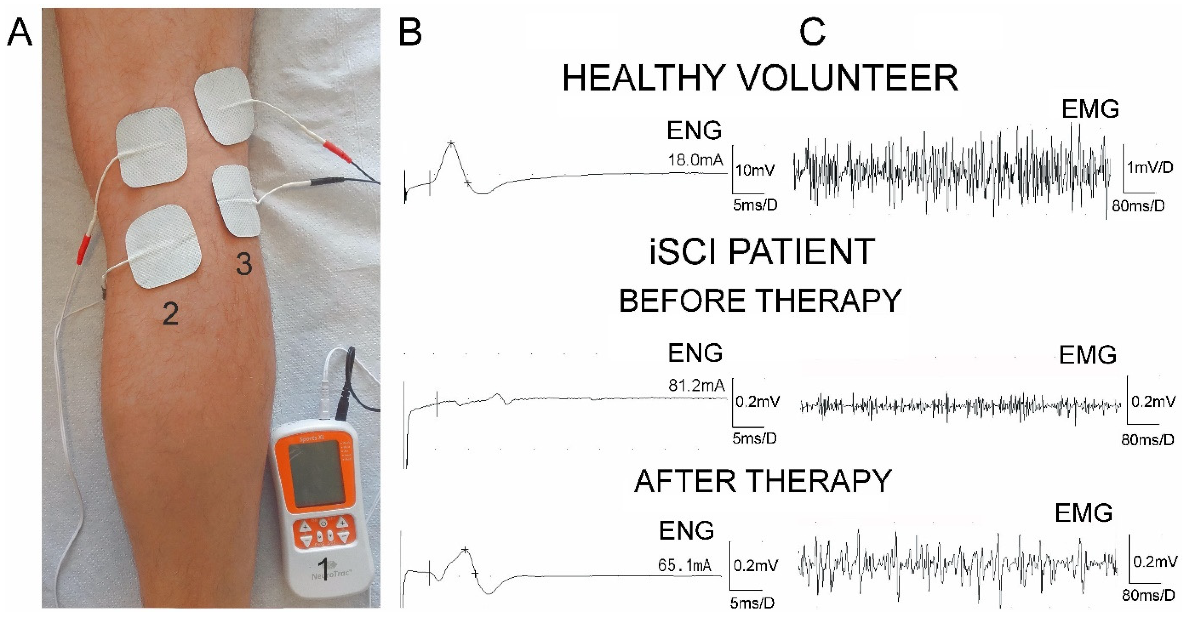 https://www.mdpi.com/applsci/applsci-11-09764/article_deploy/html/images/applsci-11-09764-g003.png