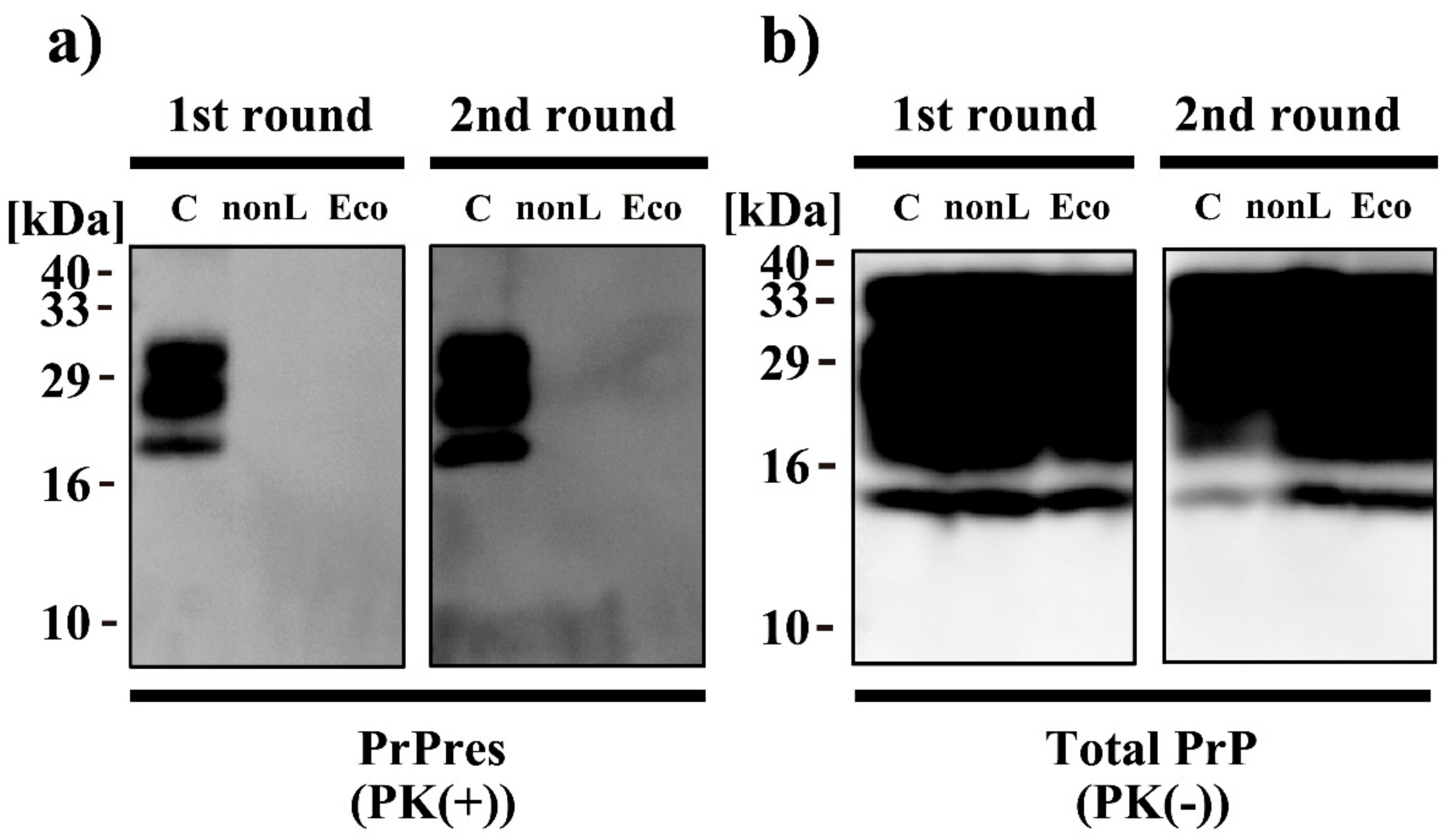 Applsci 11 09777 g004