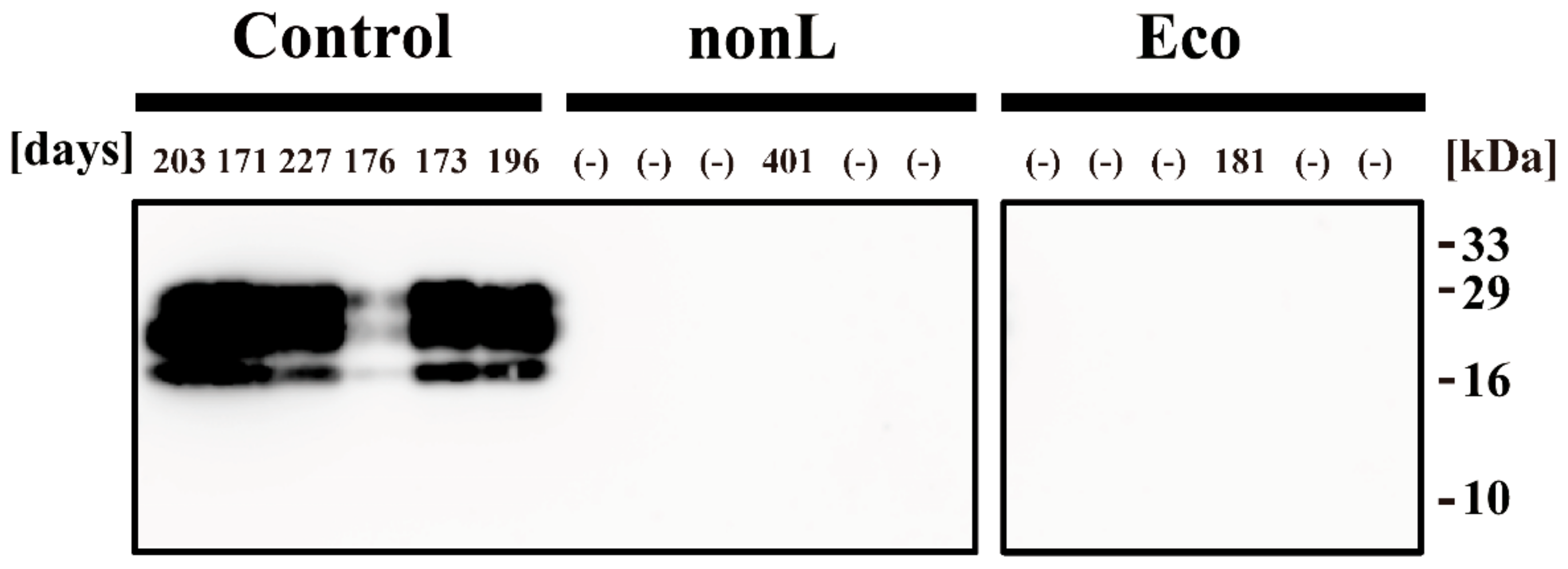 Applsci 11 09777 g006