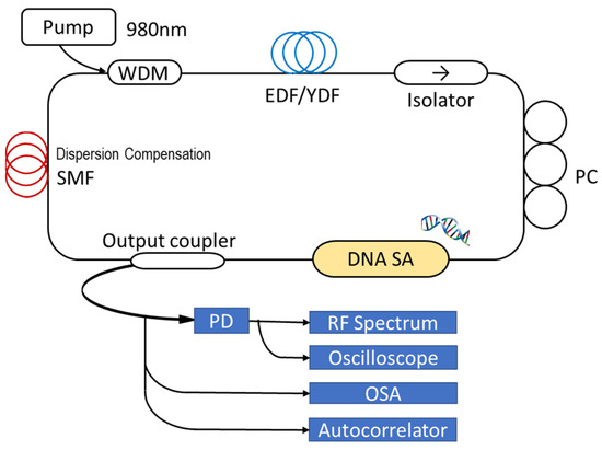 Applied Sciences | Free Full-Text | Broadband Passively Mode-Locked ...