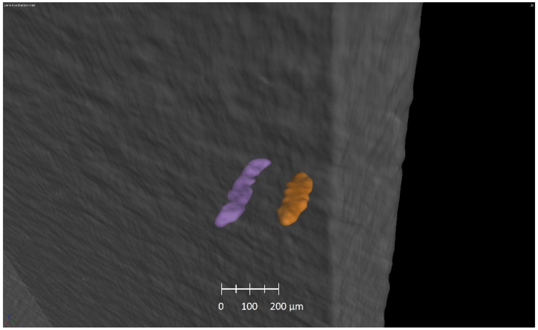 Applsci 11 09875 g011