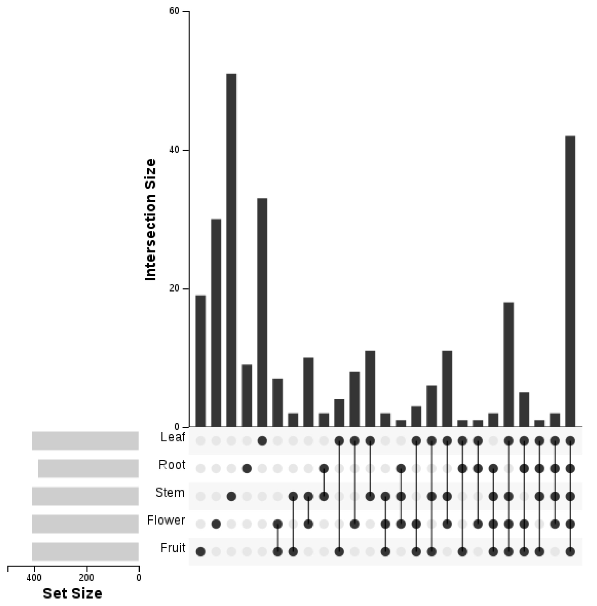 Applsci 11 10068 g002