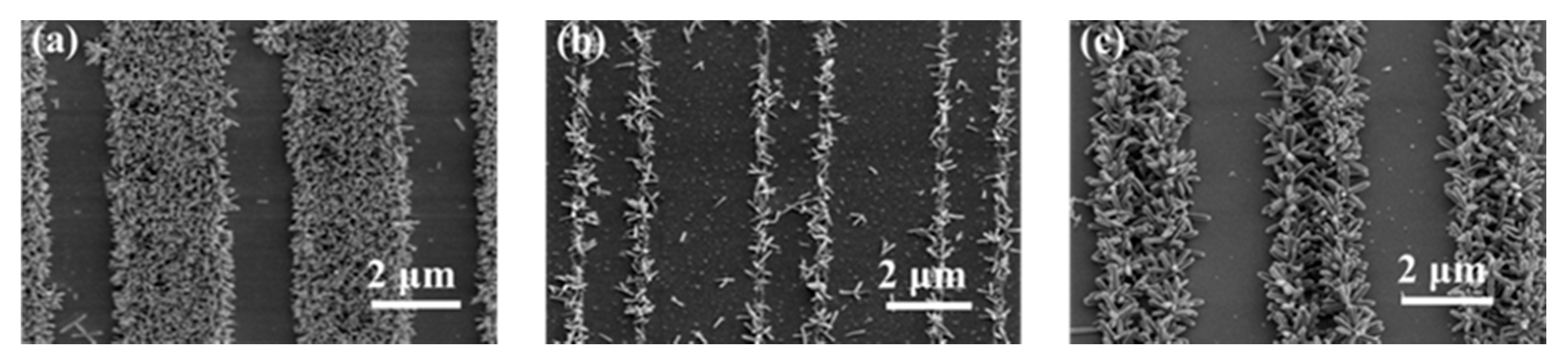 Applsci 11 10097 g005