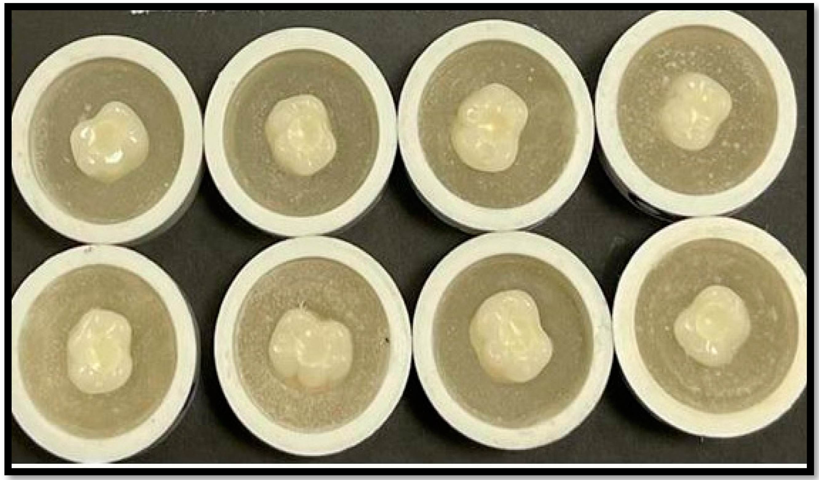 Applsci 11 10108 g002 Applsci 11 10108 g002