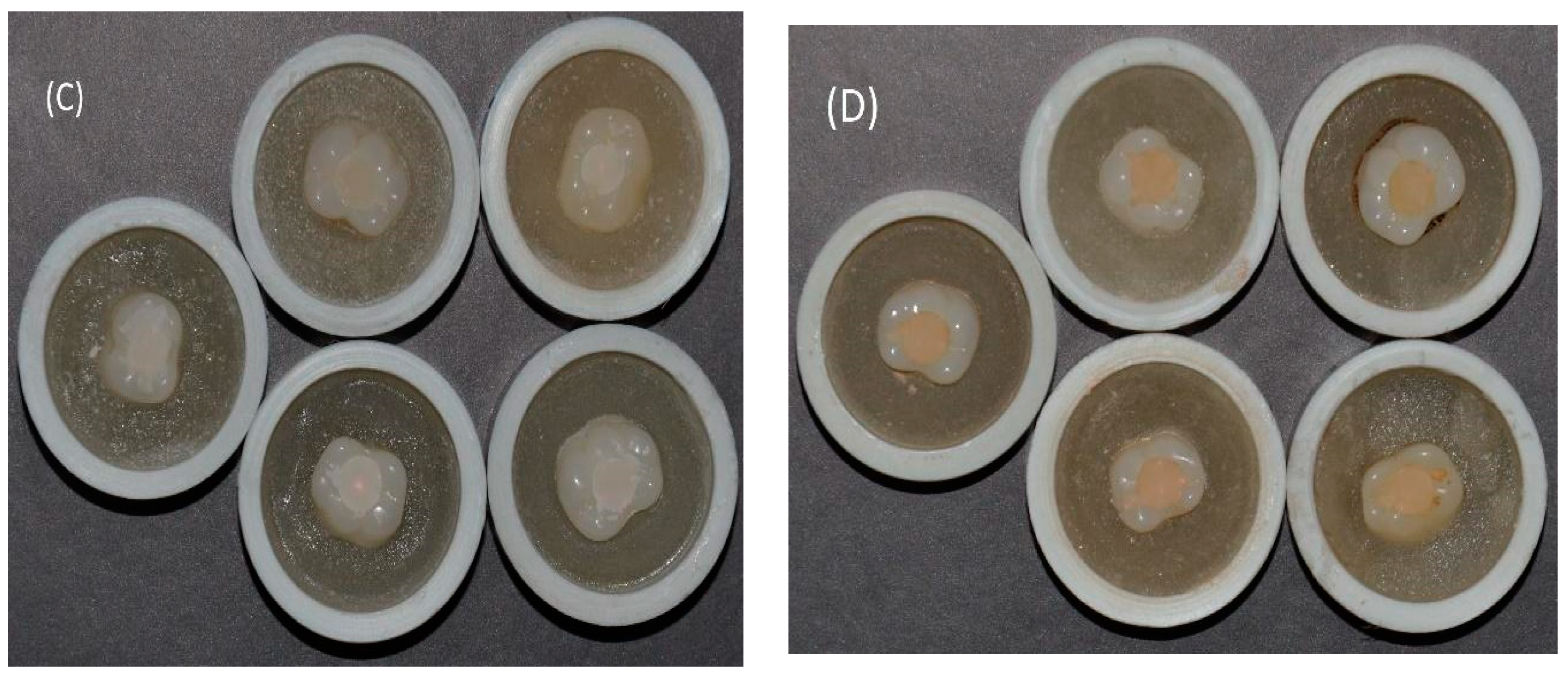 Applsci 11 10108 g003b Applsci 11 10108 g003b