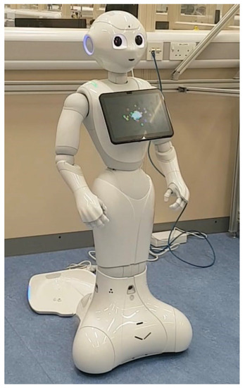 Applied Sciences | Free Full-Text | A New Perspective on Robot Ethics  through Investigating Human–Robot Interactions with Older Adults