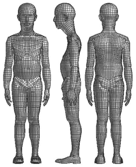 Virtual human body model with body dimensions VII. EXTRACTING