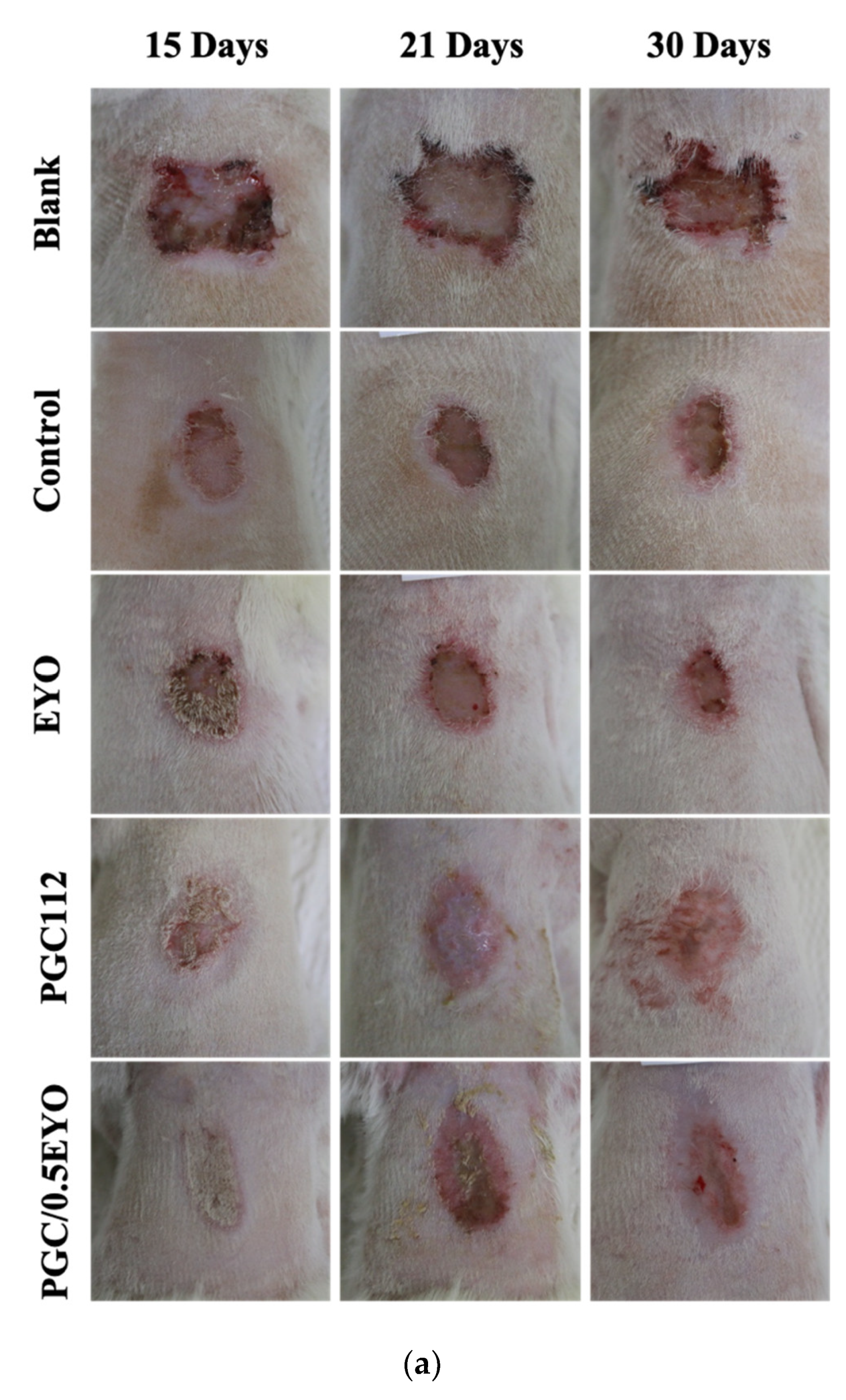 Applsci 11 10290 g007a