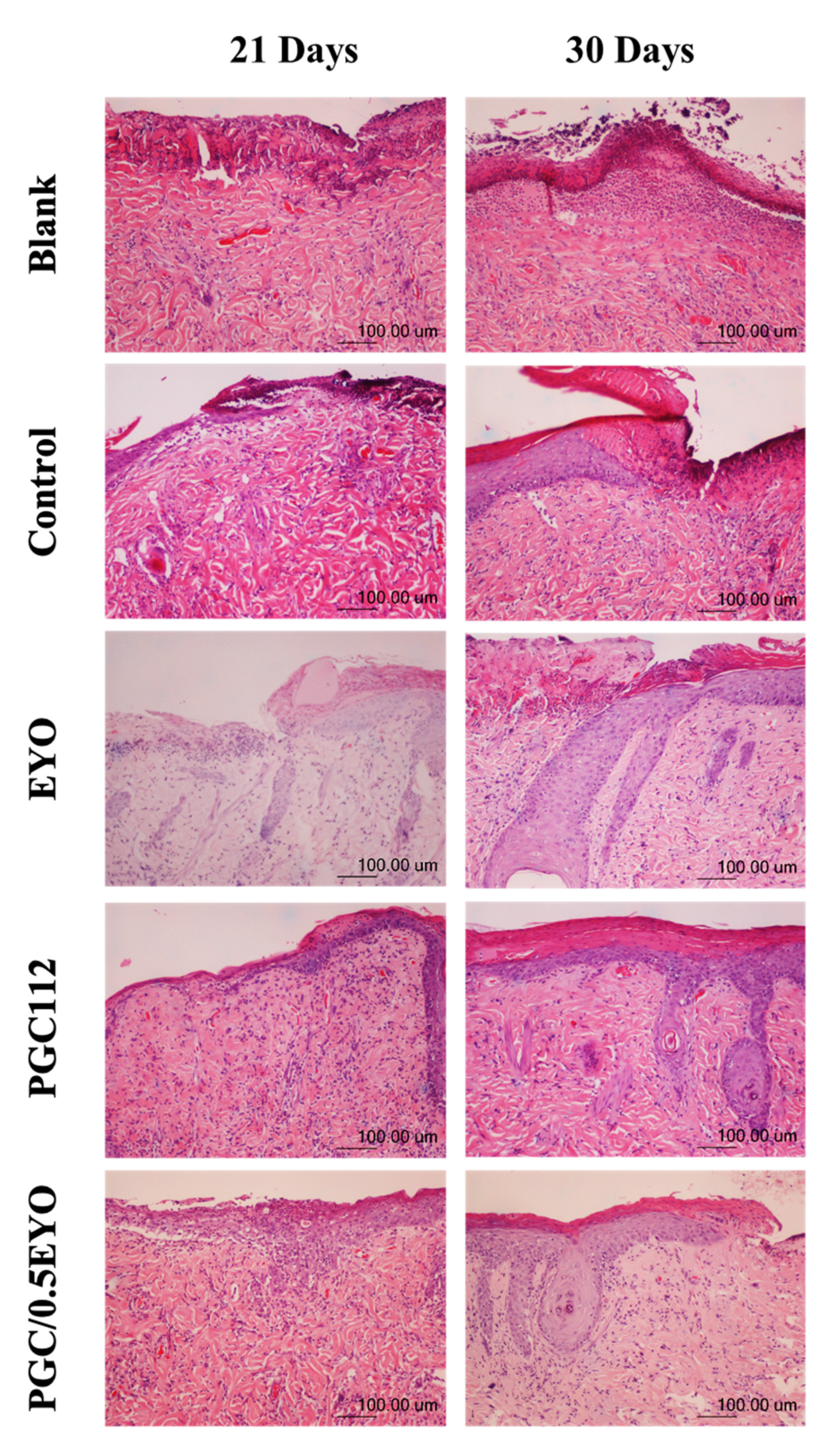 Applsci 11 10290 g008
