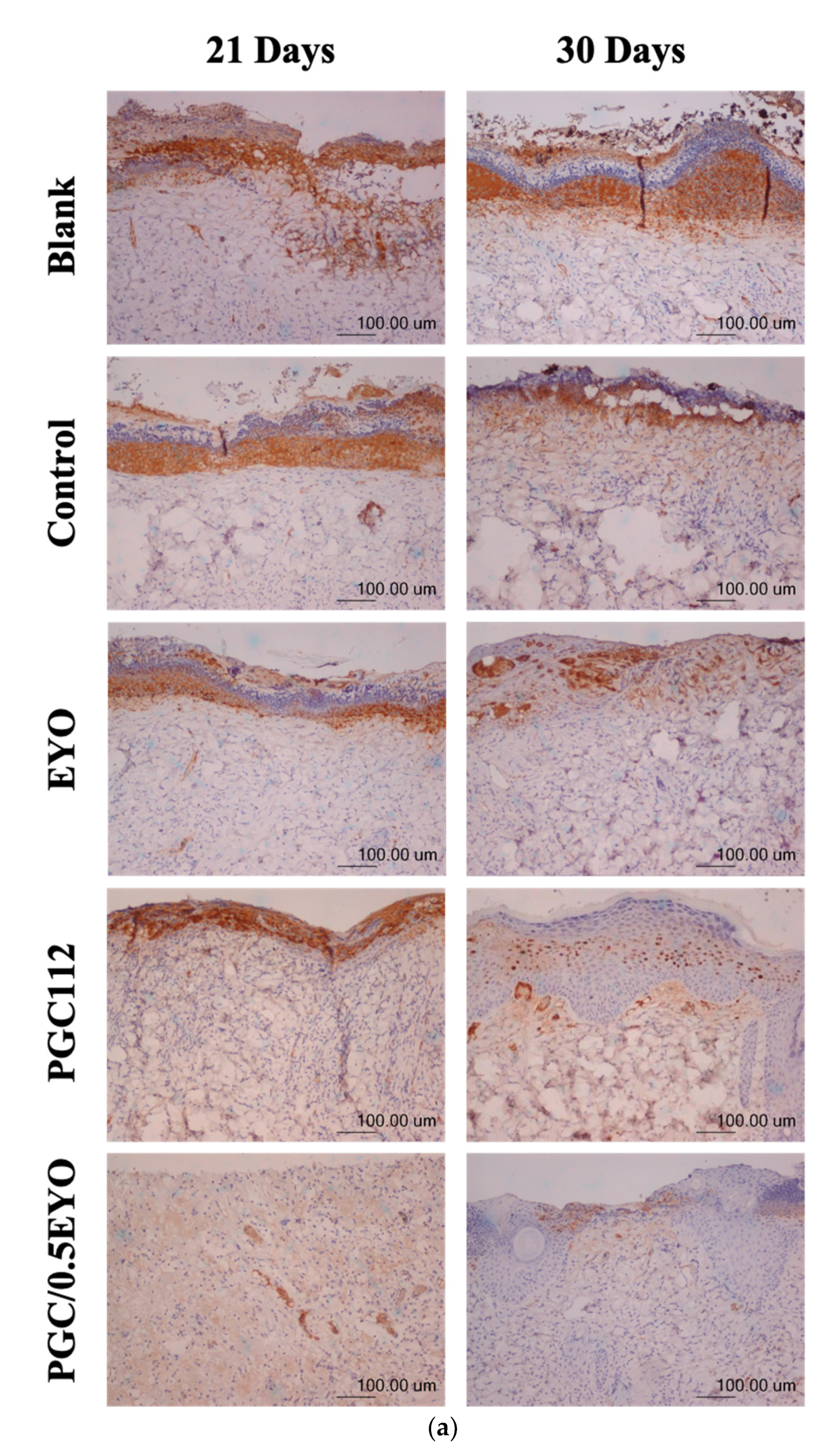 Applsci 11 10290 g009a