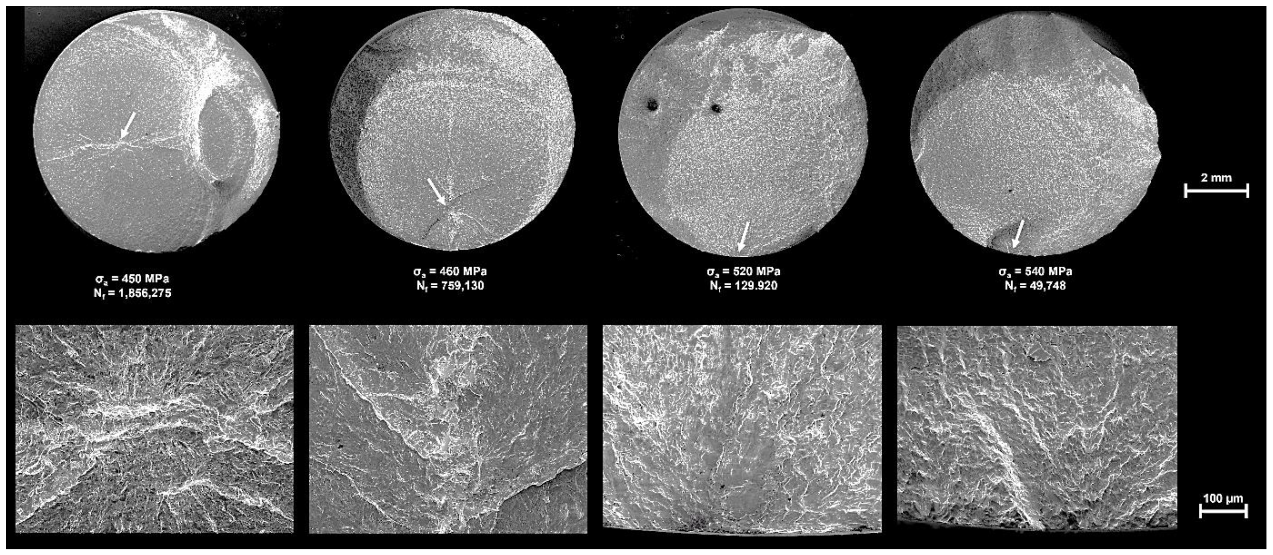 Applsci 11 10406 g006