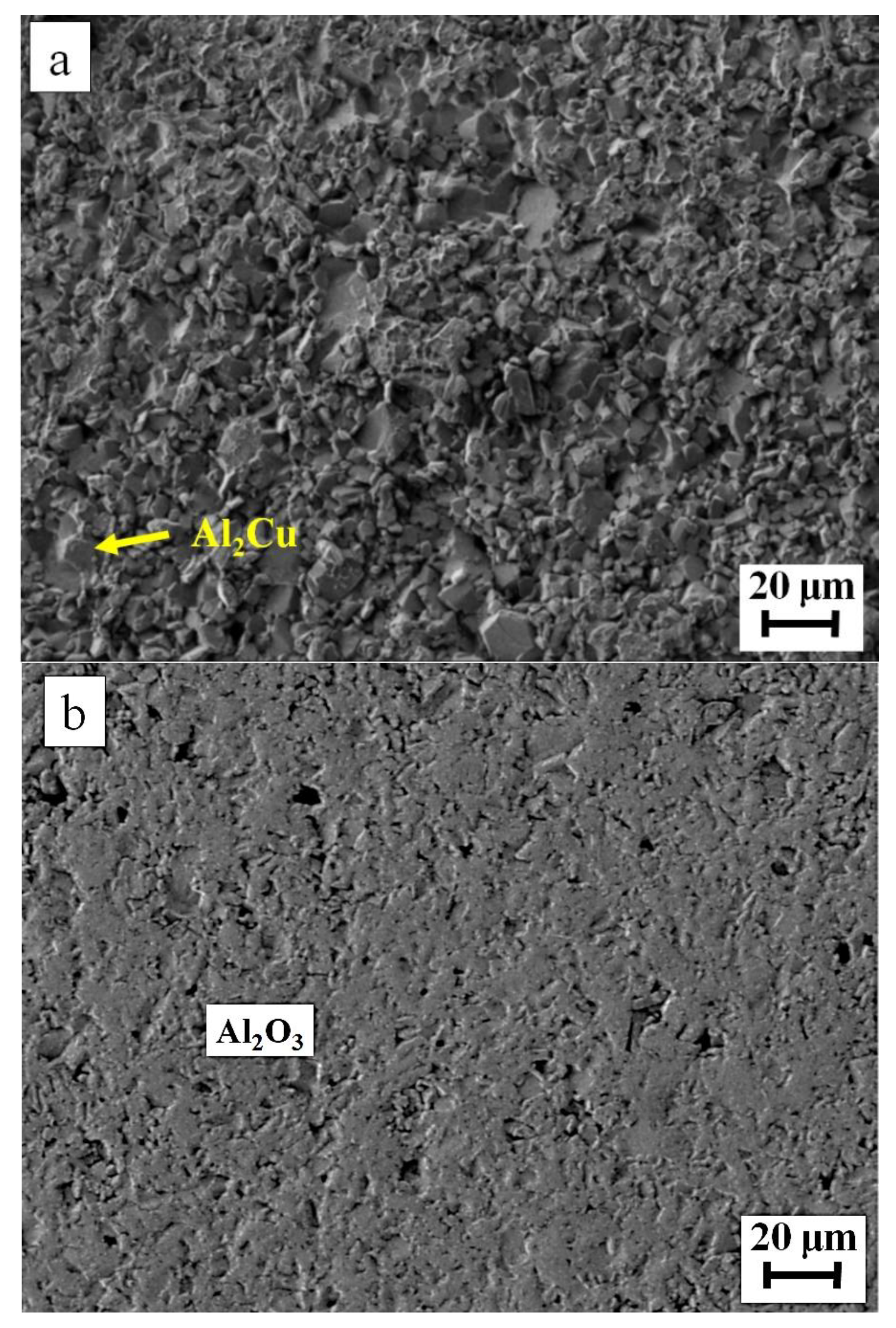 Applsci 11 10440 g011