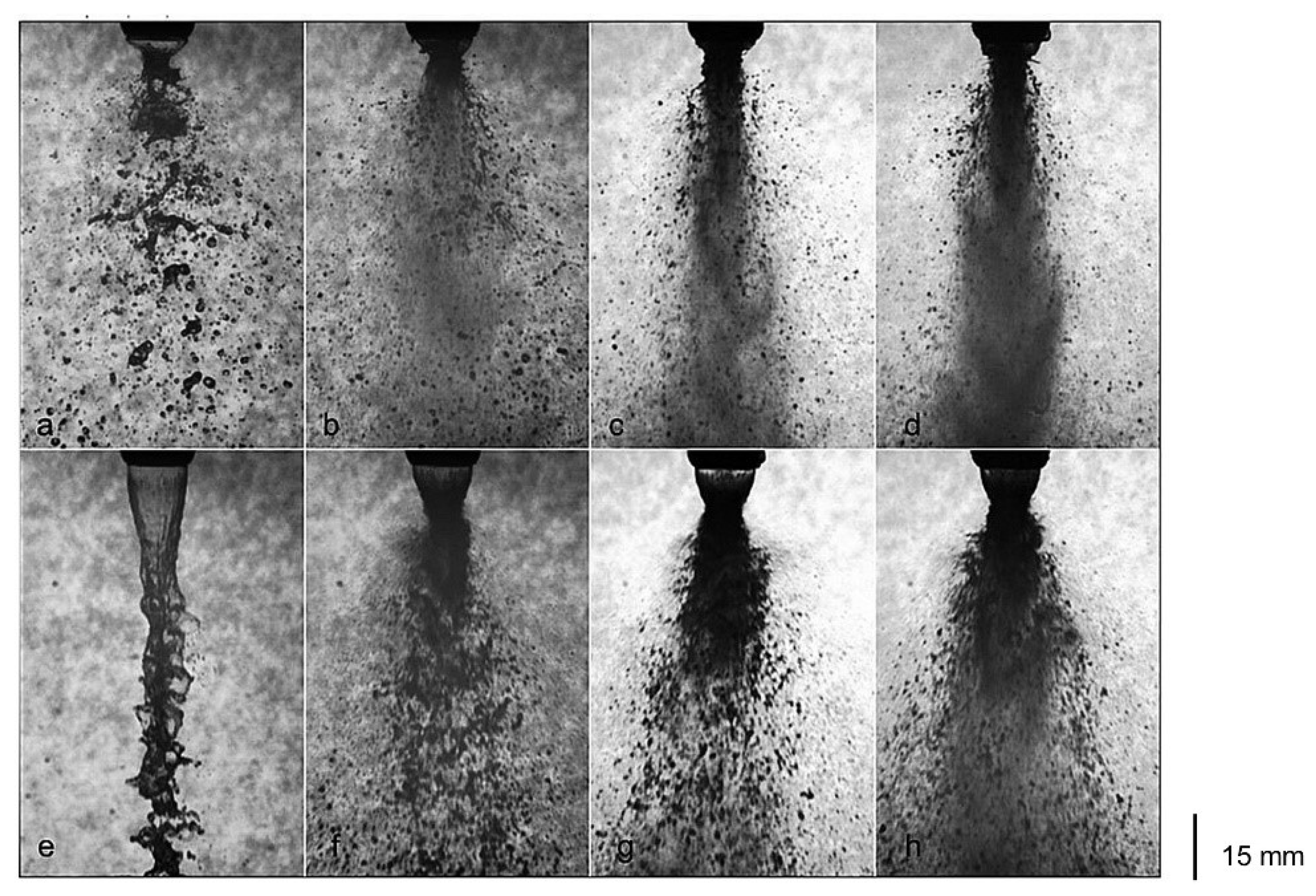 Applsci 11 10444 g006