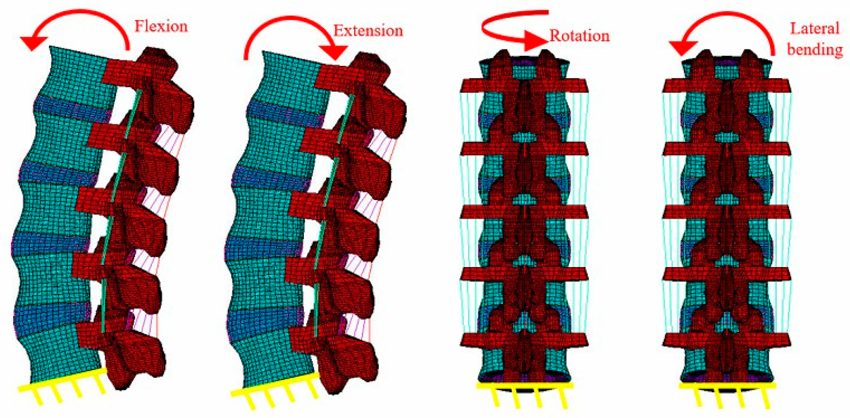 DEVELOPMENT AND VALIDATION OF A FINITE ELEMENT MODEL OF THE LUMBAR SEGMENT  L4-L5-S1 FOR BIOMECHANICAL STUDY OF THE SPINE - Latin American University  Presses Rights Catalog
