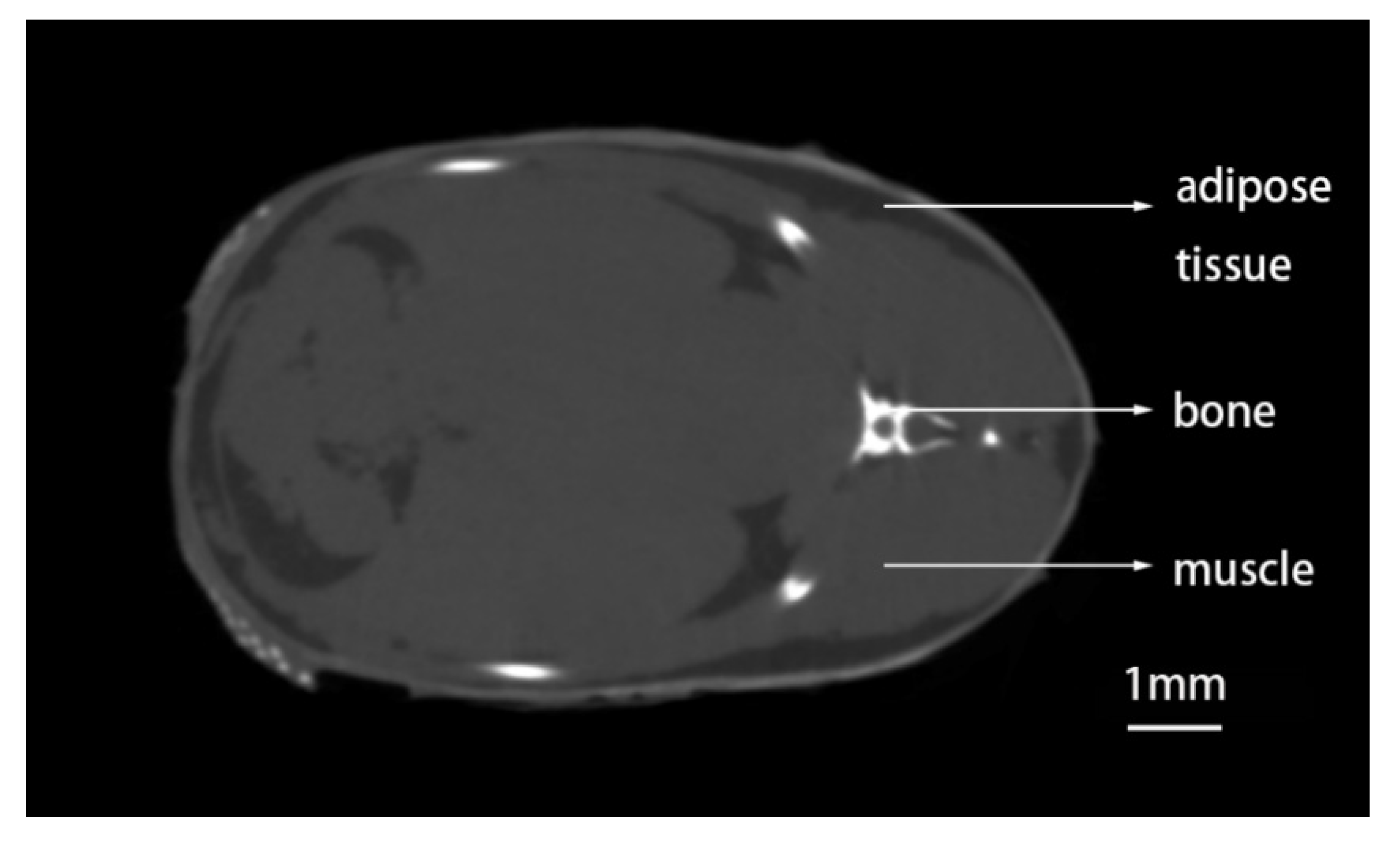 Applsci 11 10510 g001