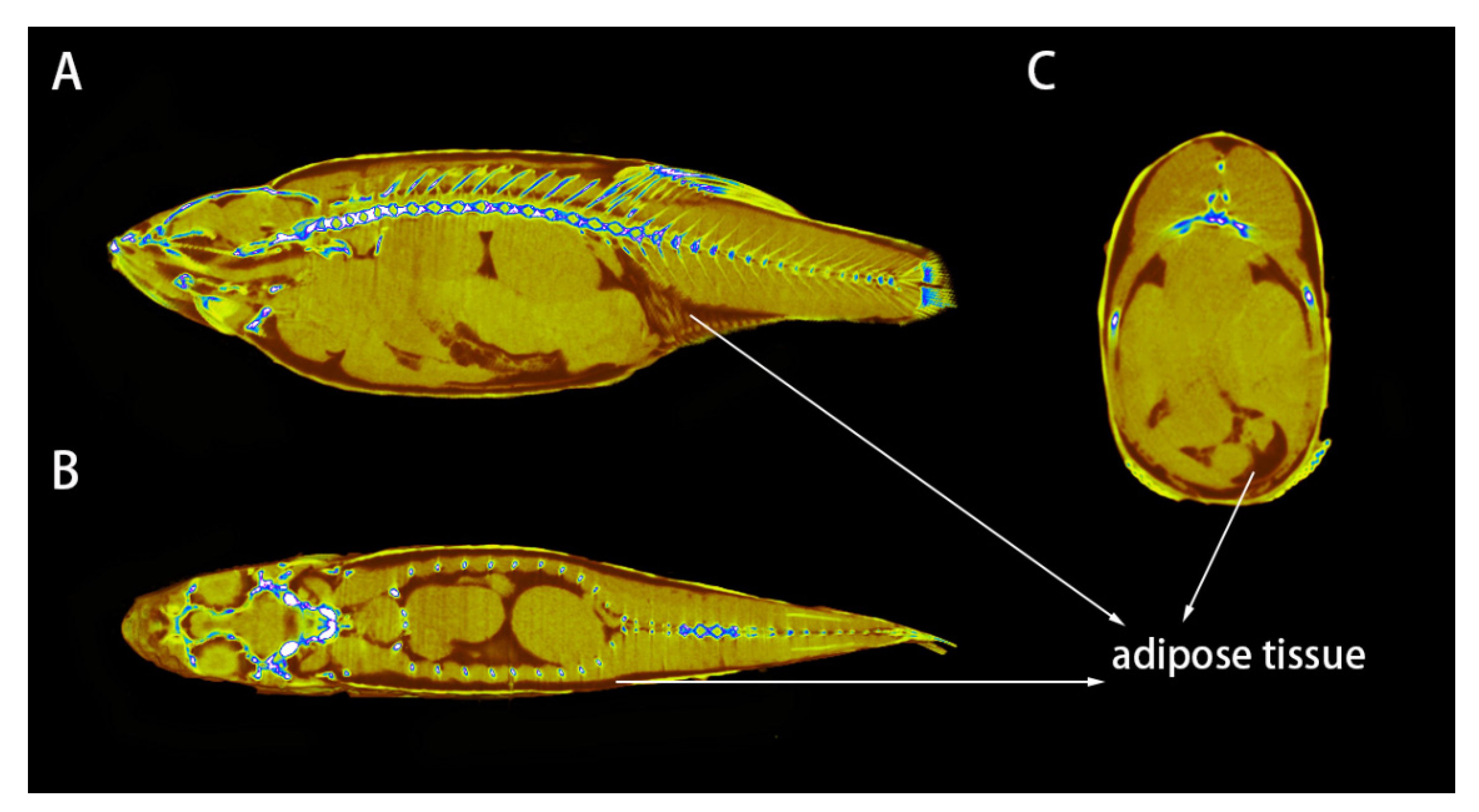 Applsci 11 10510 g009