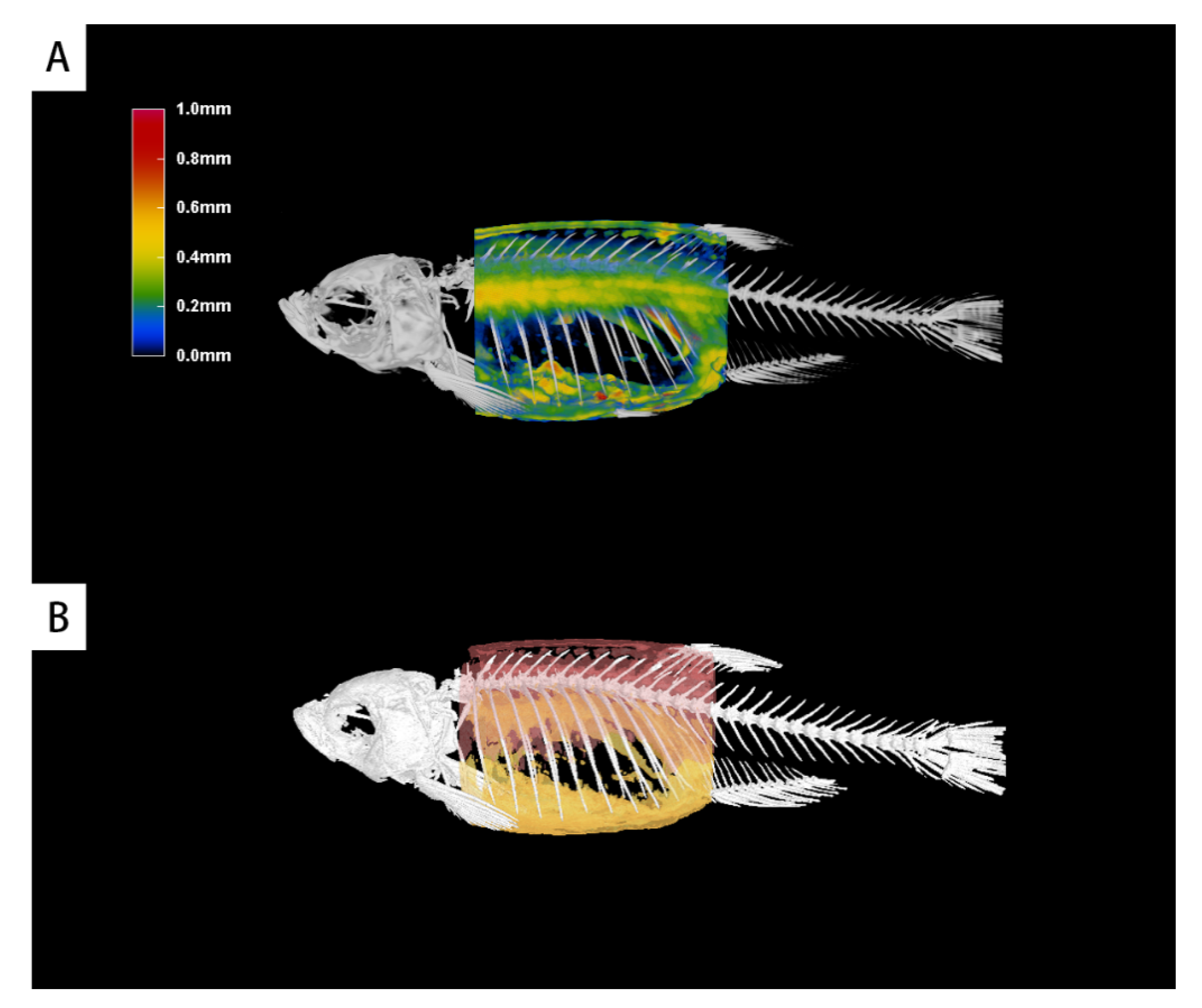 Applsci 11 10510 g013