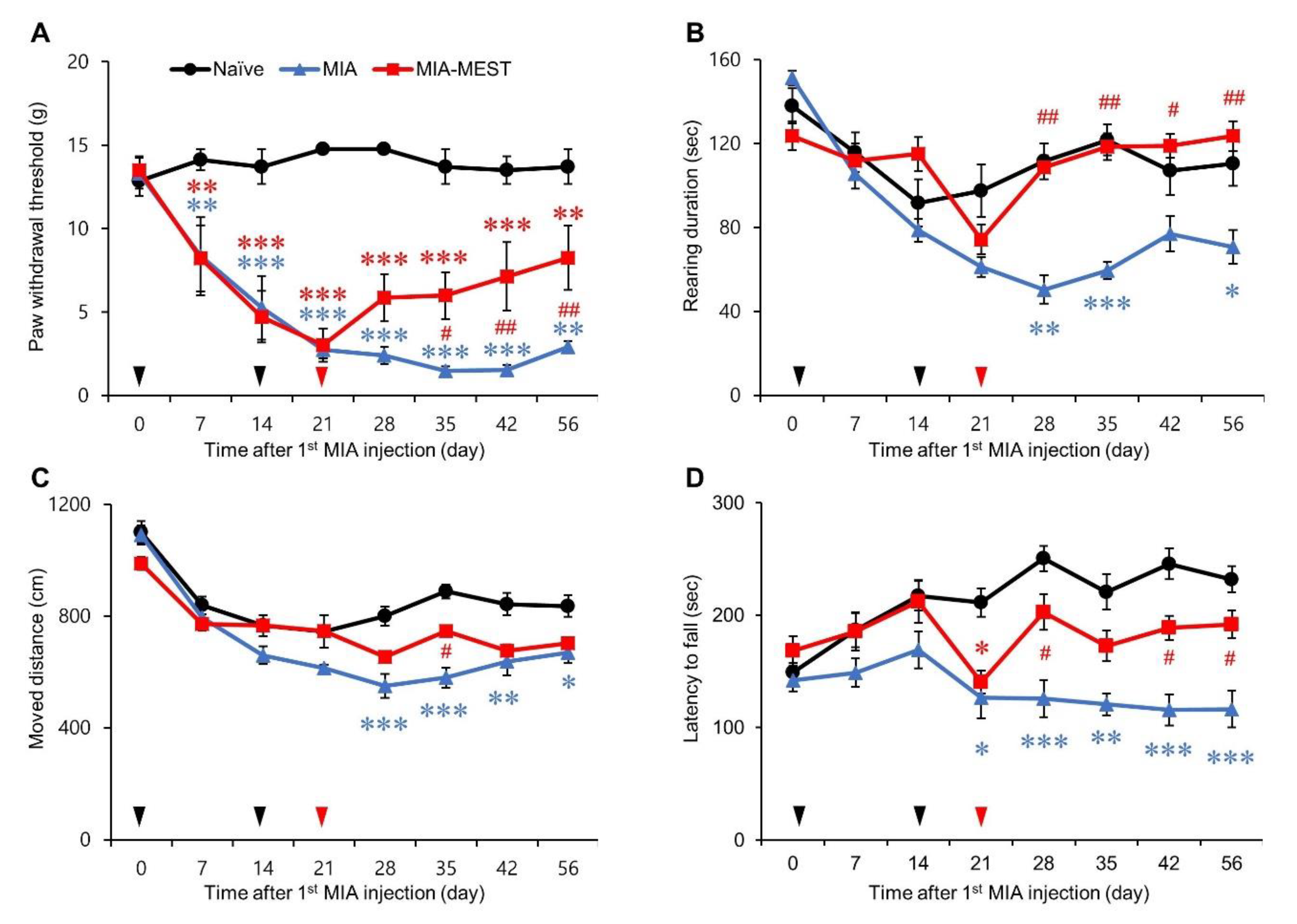Applsci 11 10534 g002