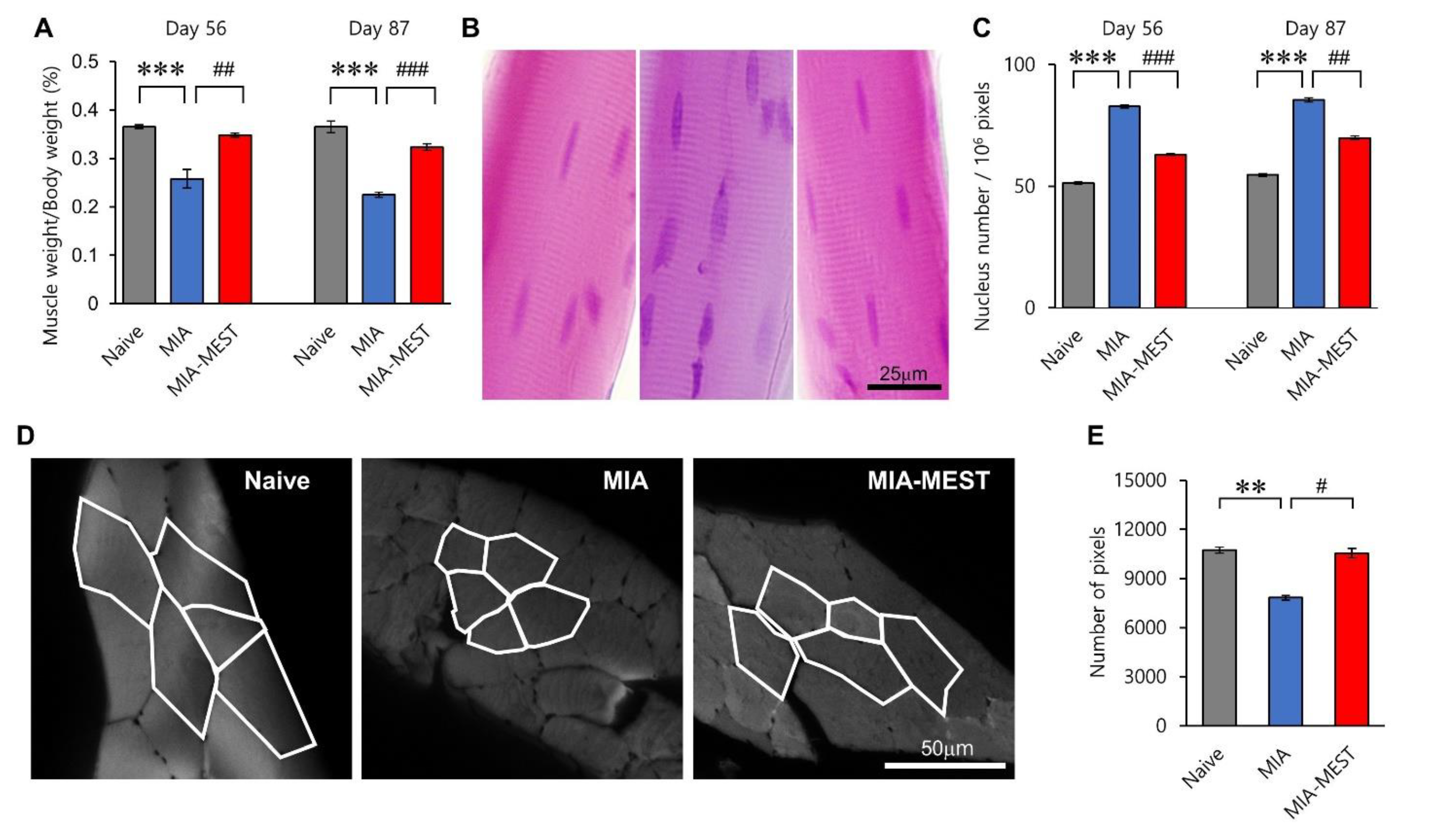 Applsci 11 10534 g003