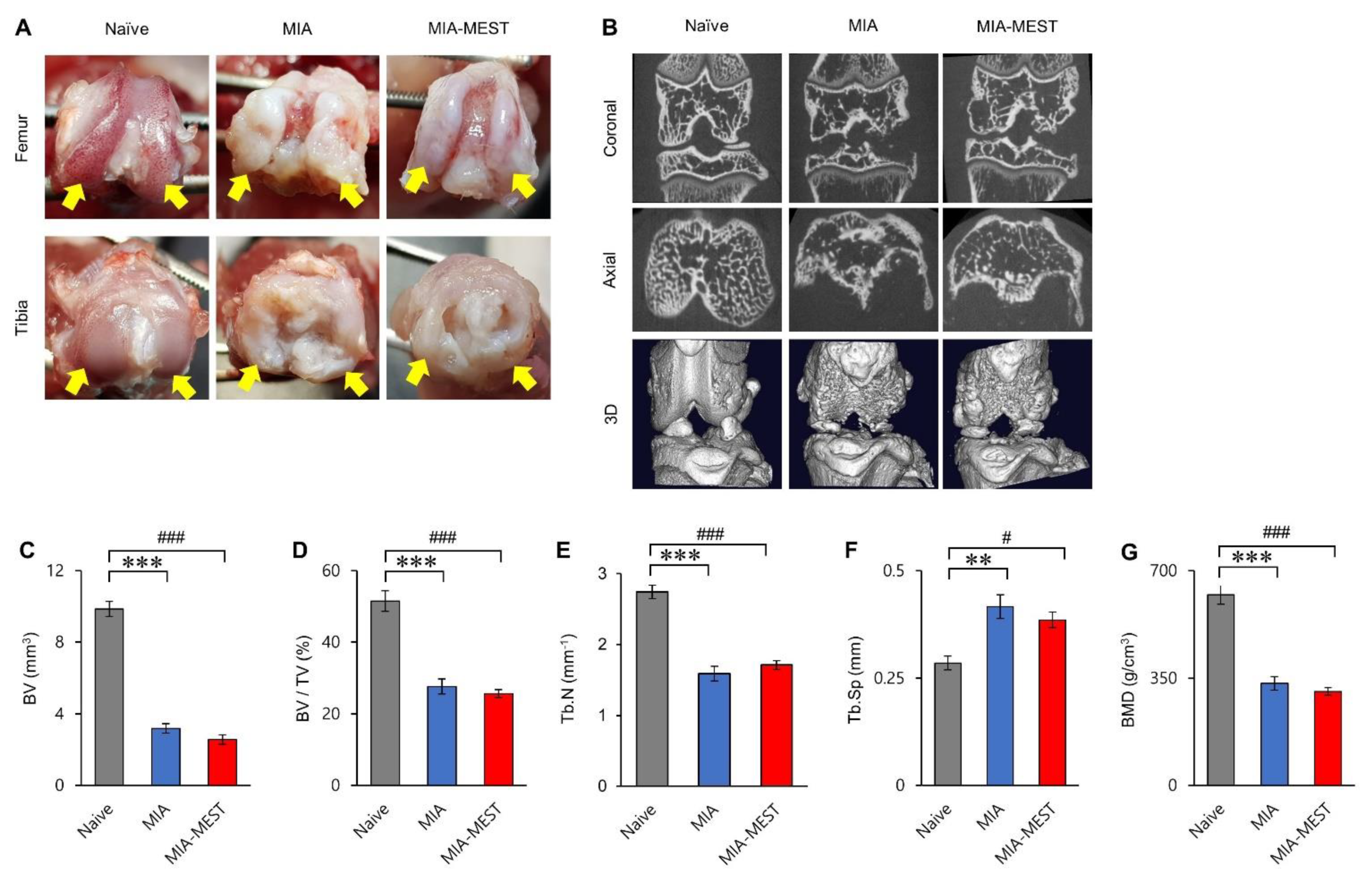 Applsci 11 10534 g006