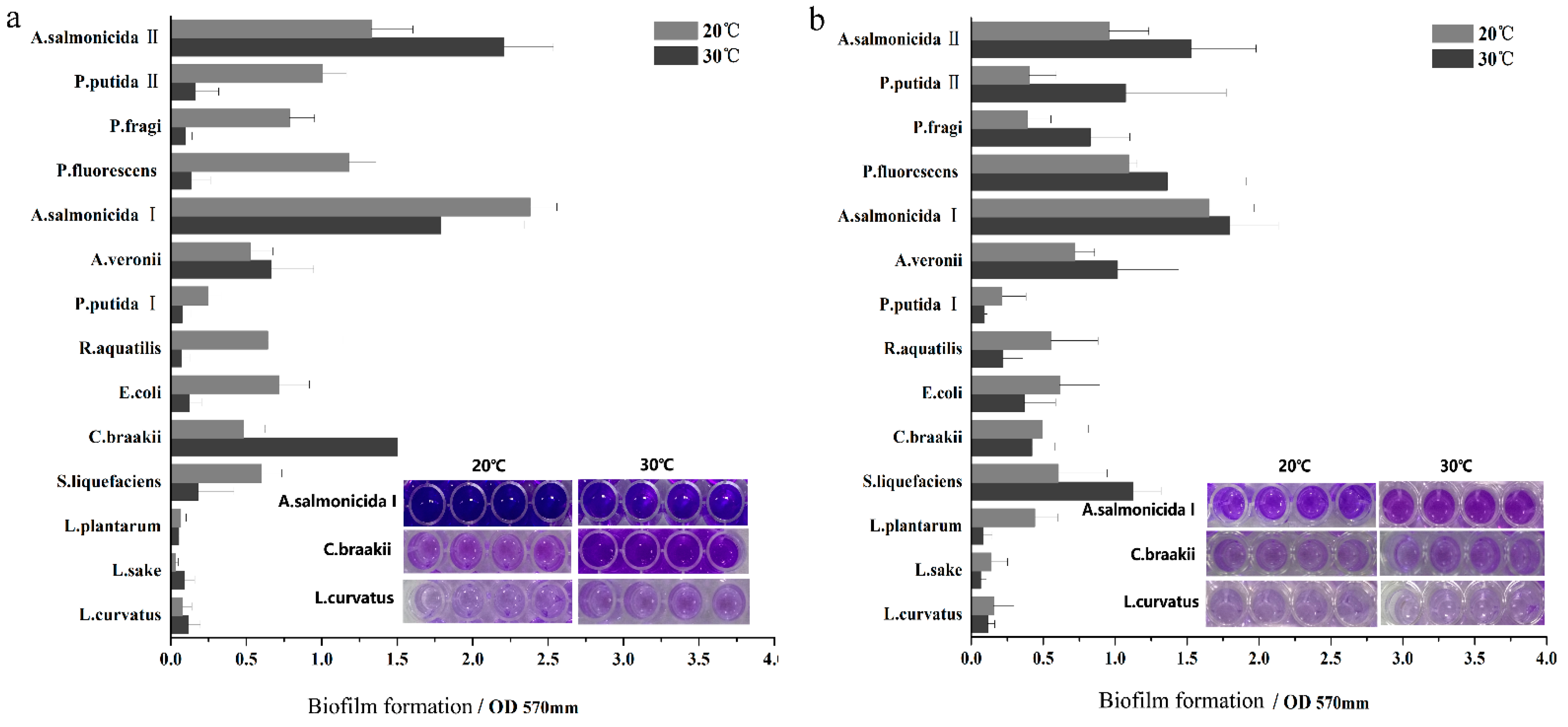 Applsci 11 10652 g001