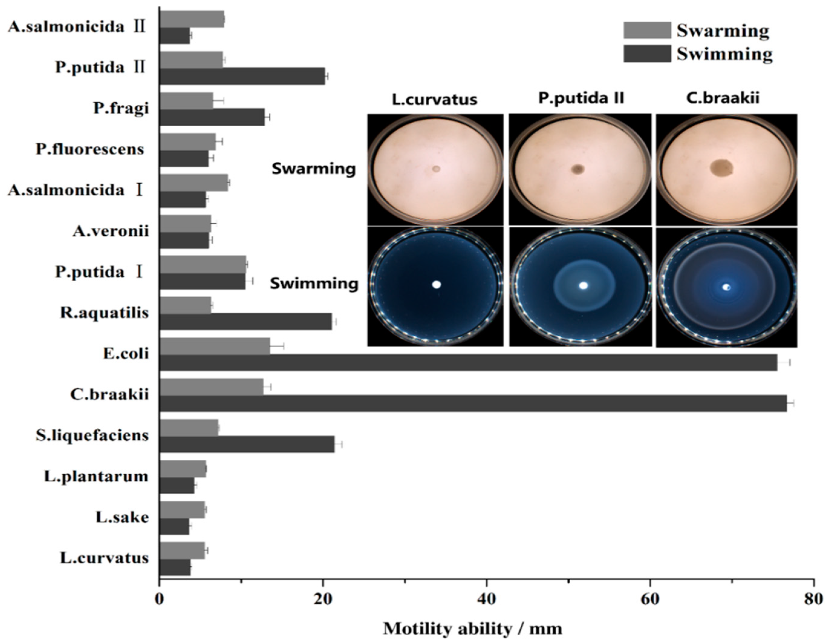 Applsci 11 10652 g002