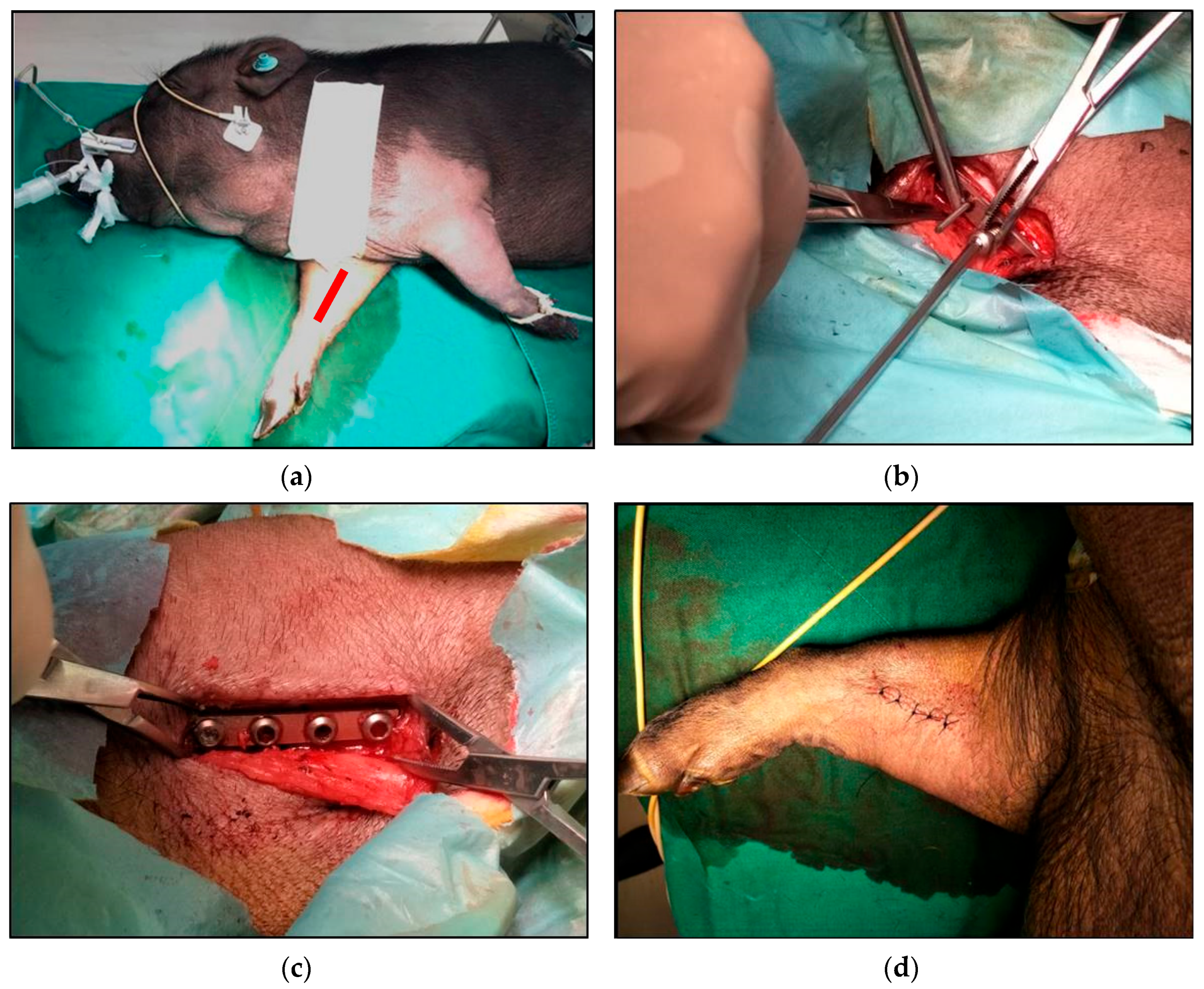 Applsci 11 10677 g003