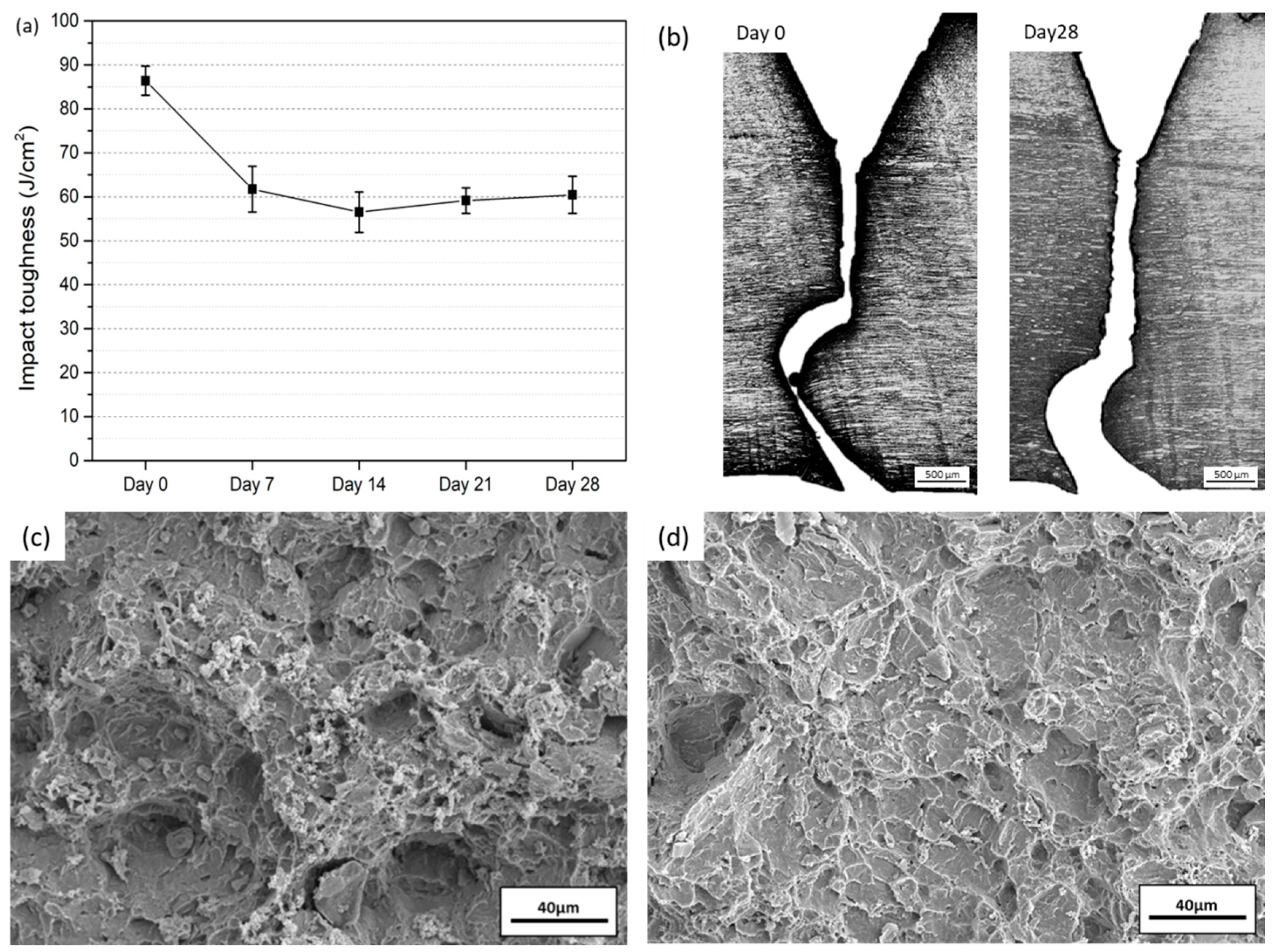 Applsci 11 10677 g011
