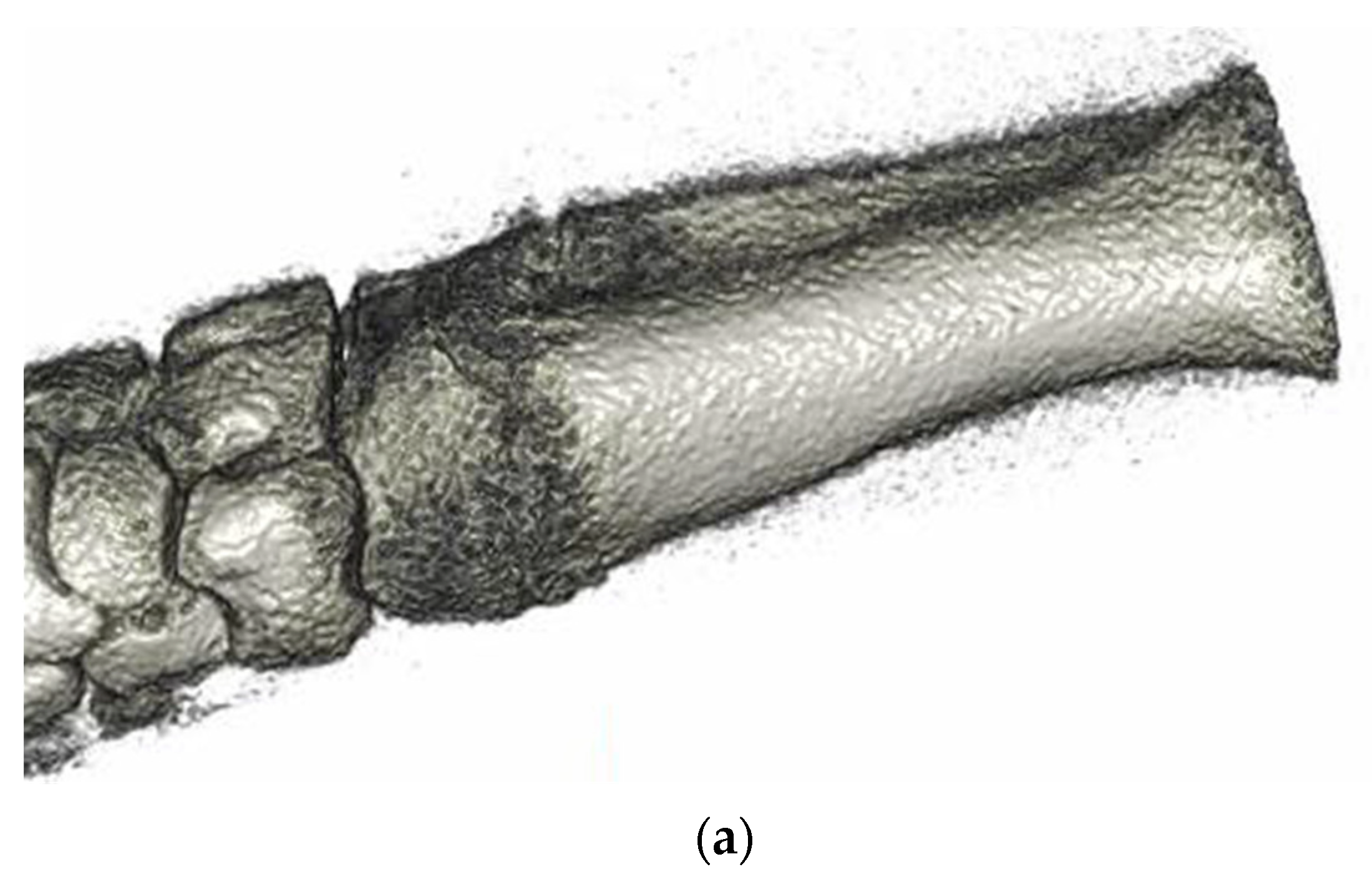 Applsci 11 10677 g013a