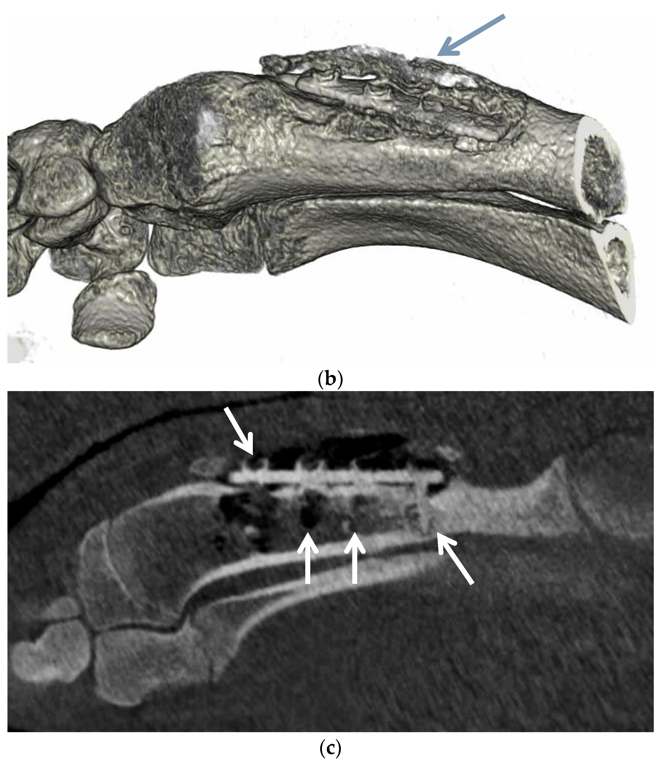 Applsci 11 10677 g014b