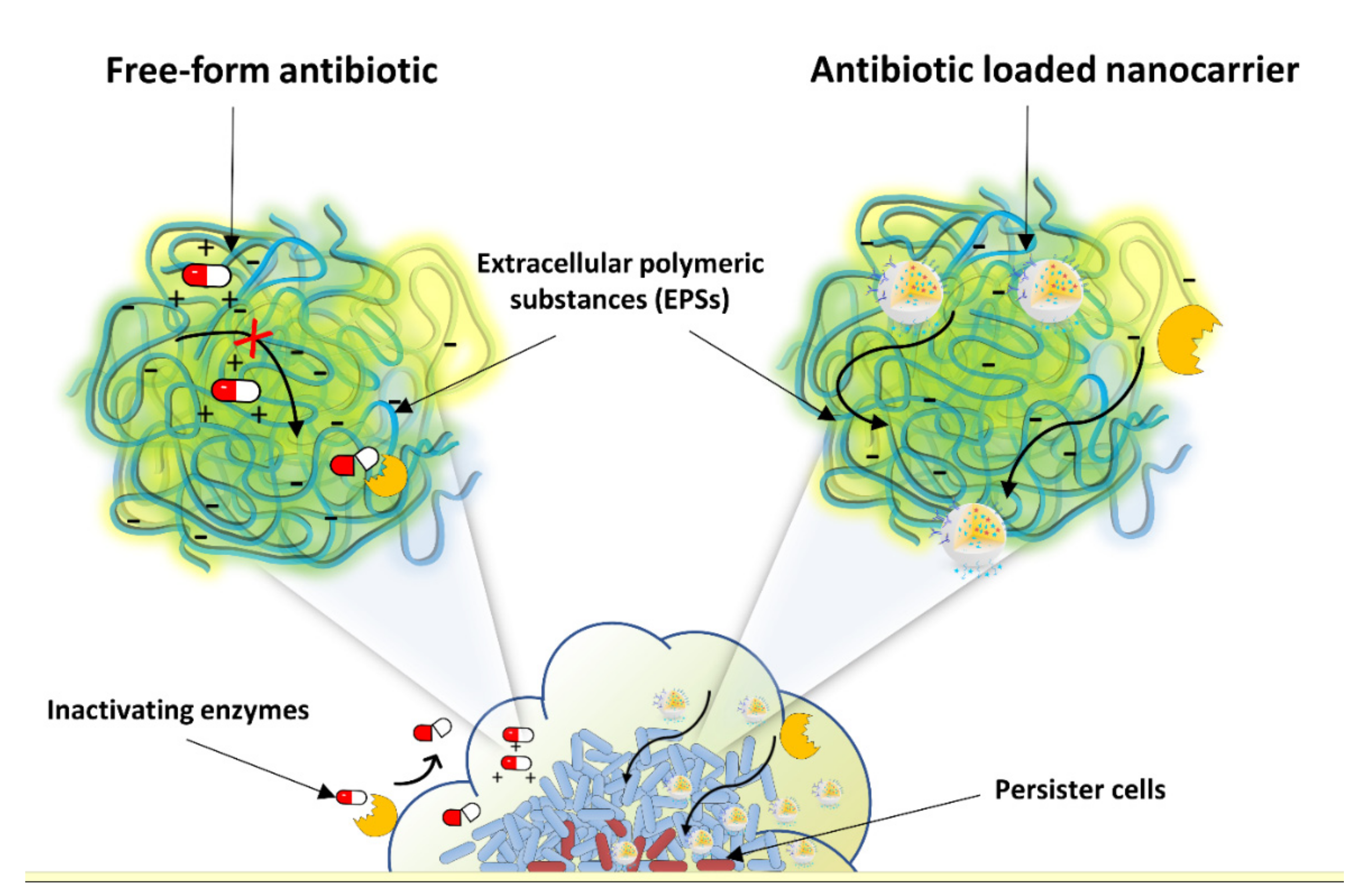 Applsci 11 10695 g002