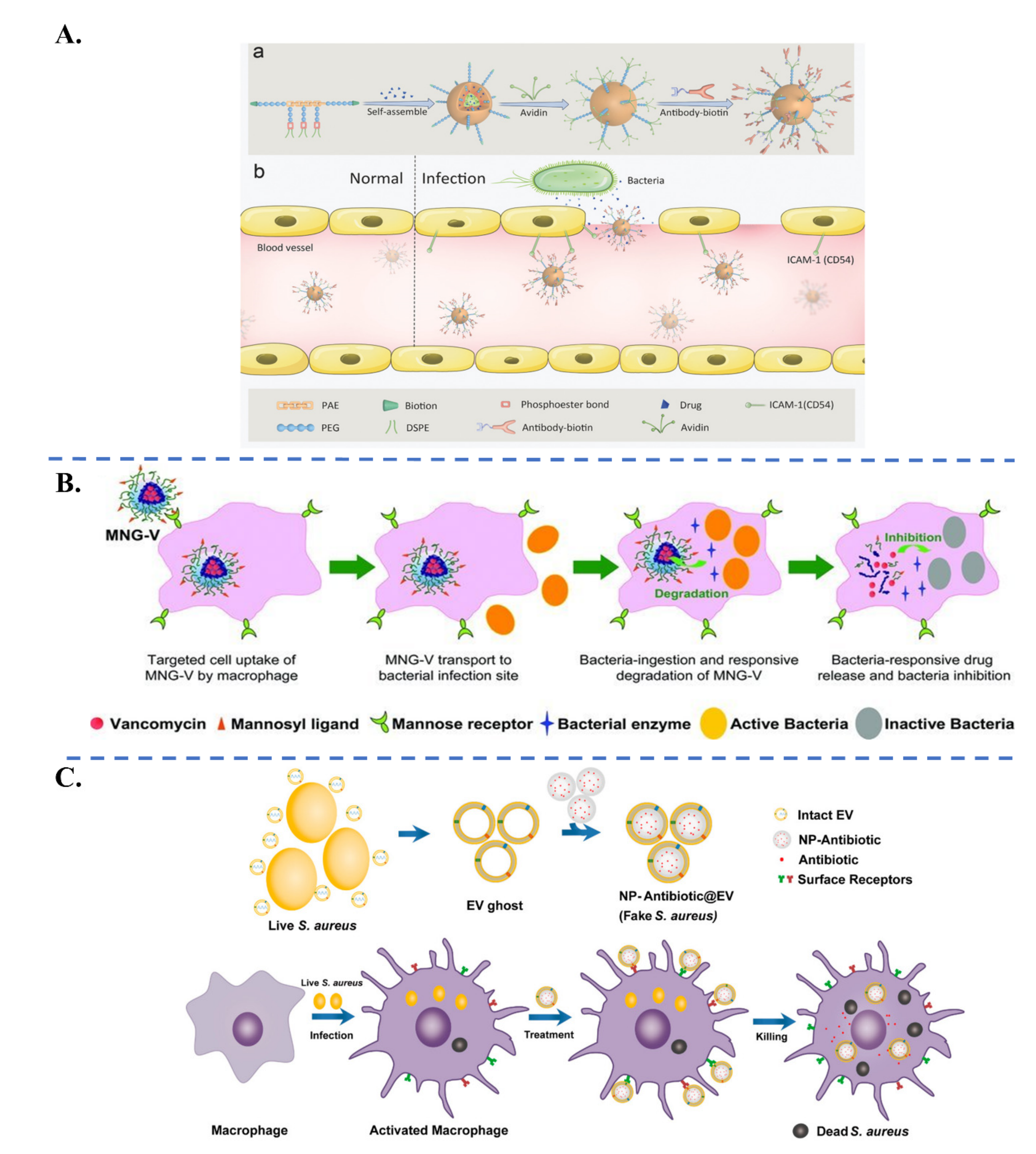Applsci 11 10695 g010