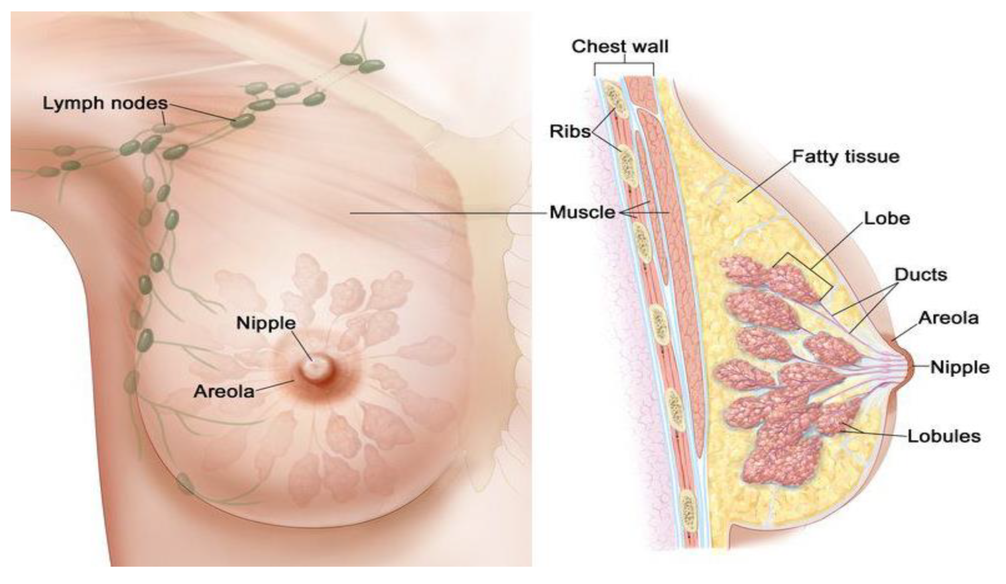 Applsci 11 10753 g002