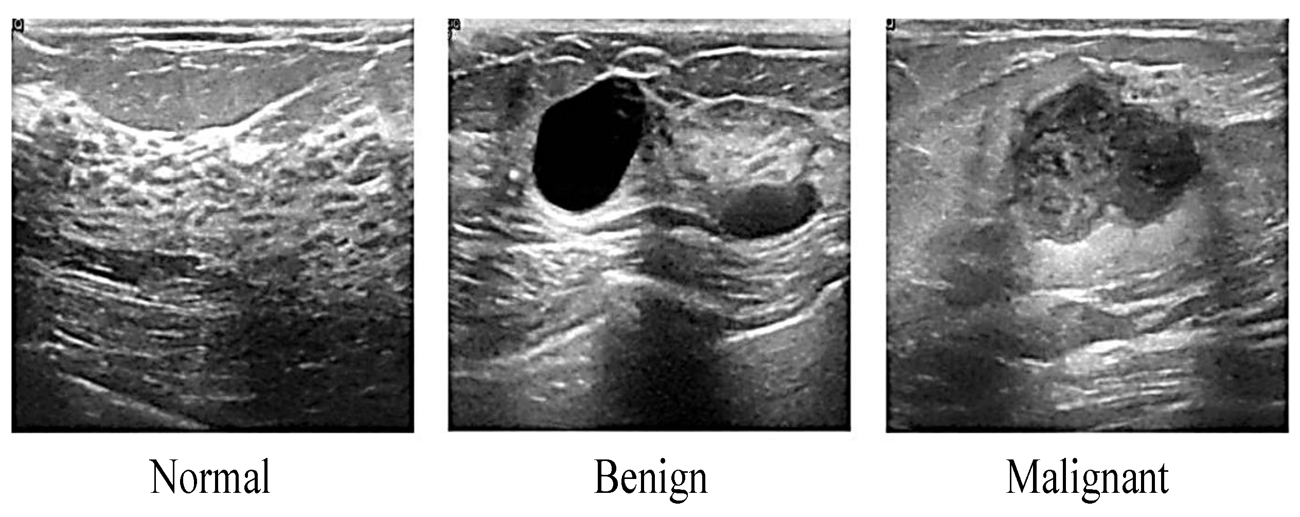 Applsci 11 10753 g004