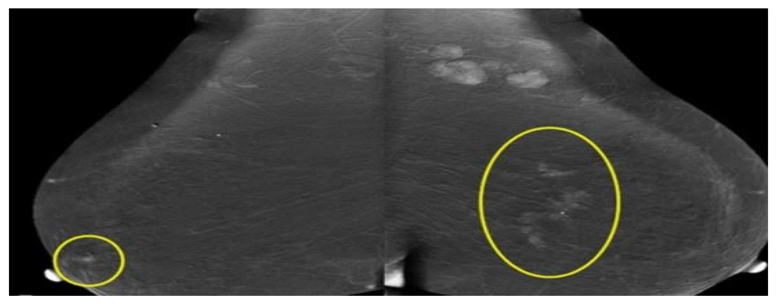 Applsci 11 10753 g005