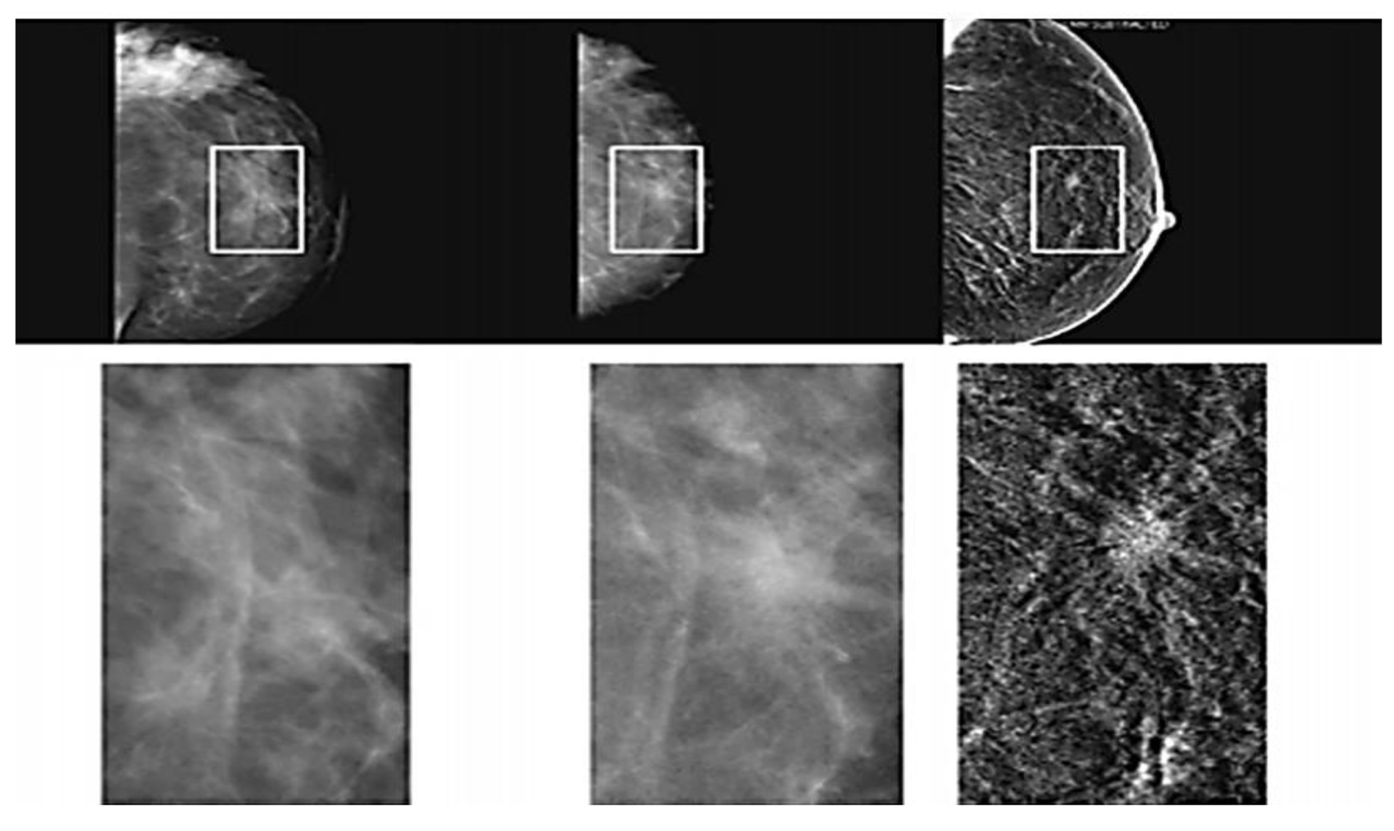 Applsci 11 10753 g006