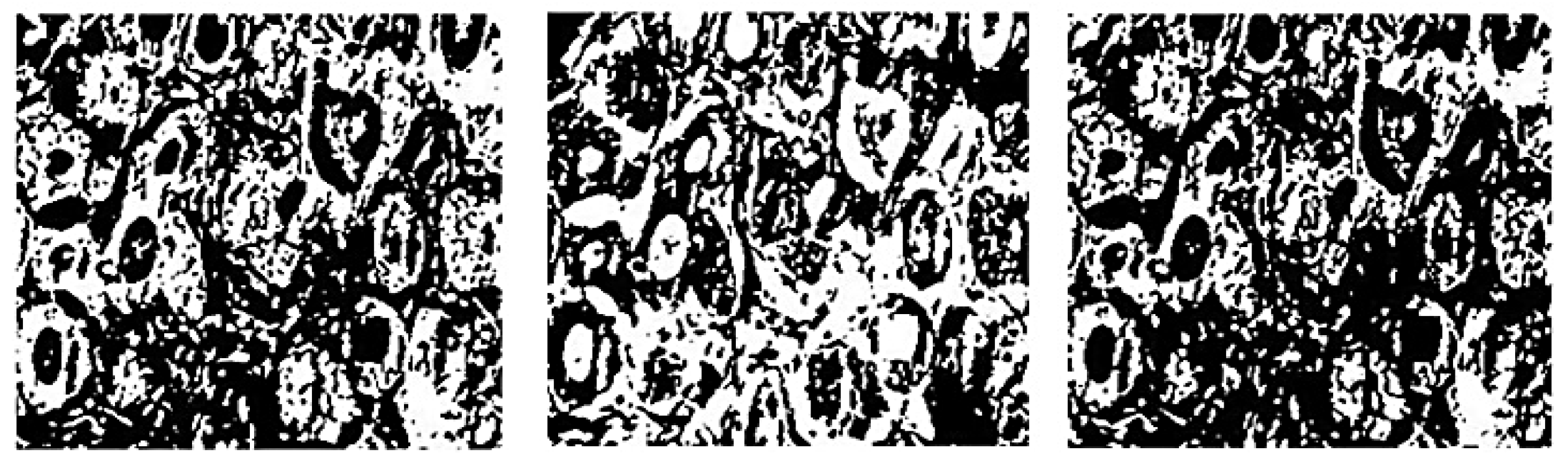 Applsci 11 10753 g014