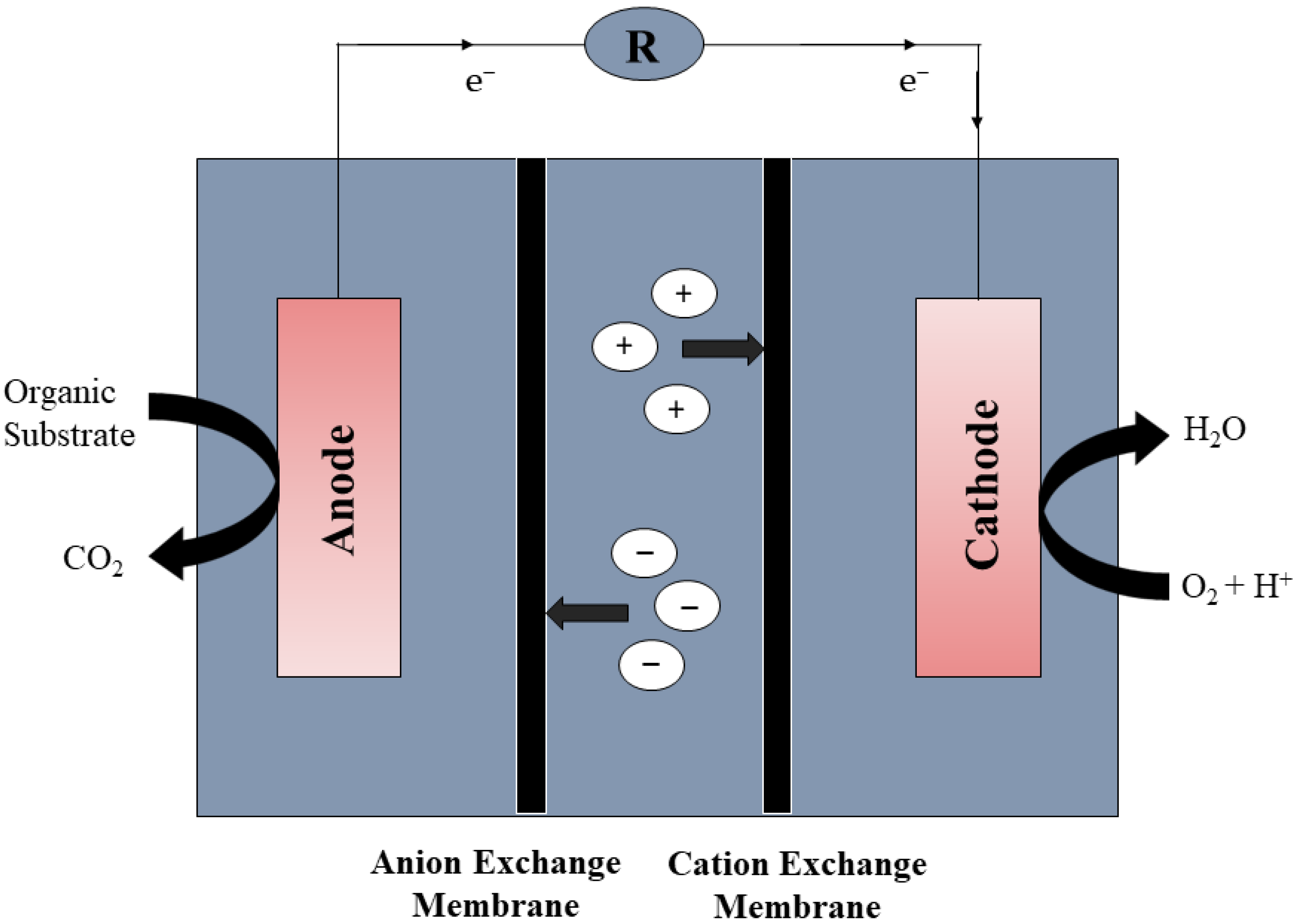 Applsci 11 10777 g005