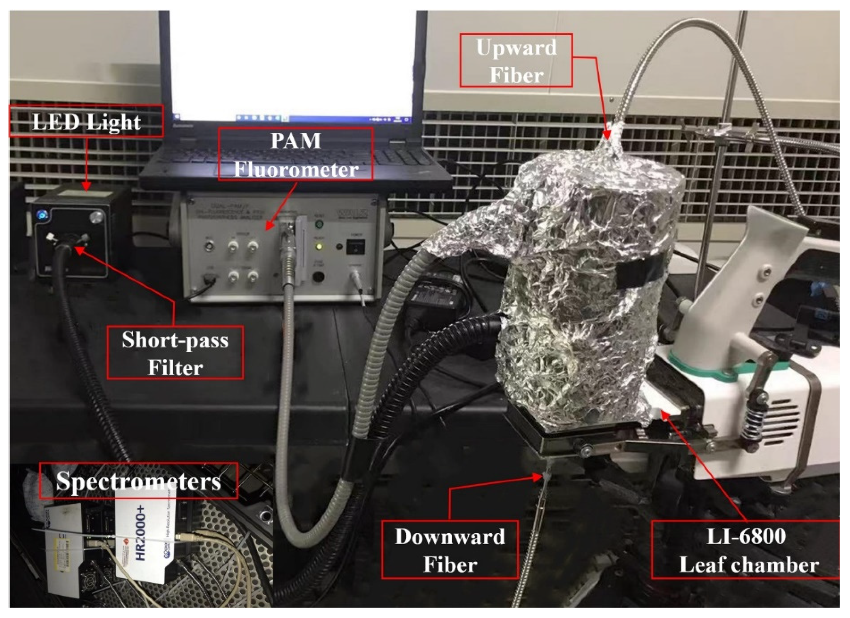 Applsci 11 10821 g001