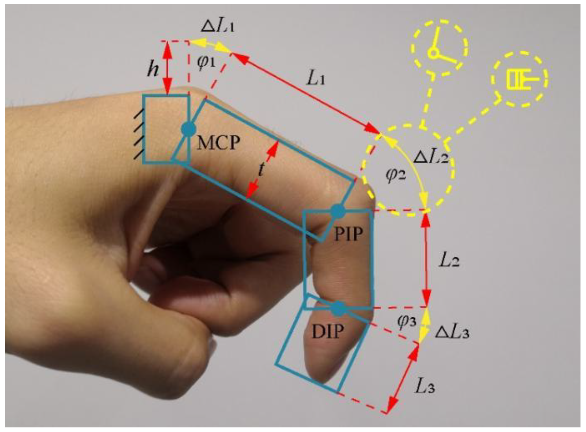 Kinematic model of a hand: each finger has 3 joints with 4 DoF : index