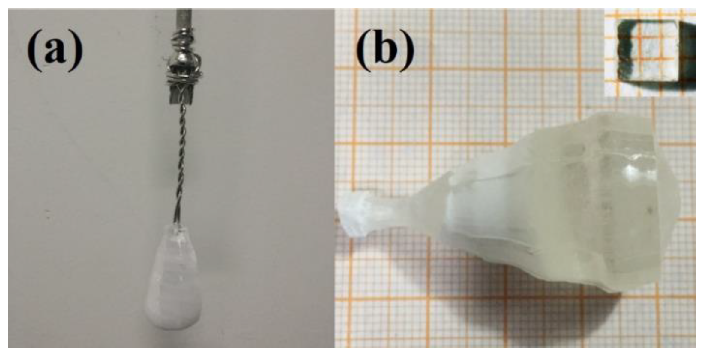 Applsci 11 10879 g002