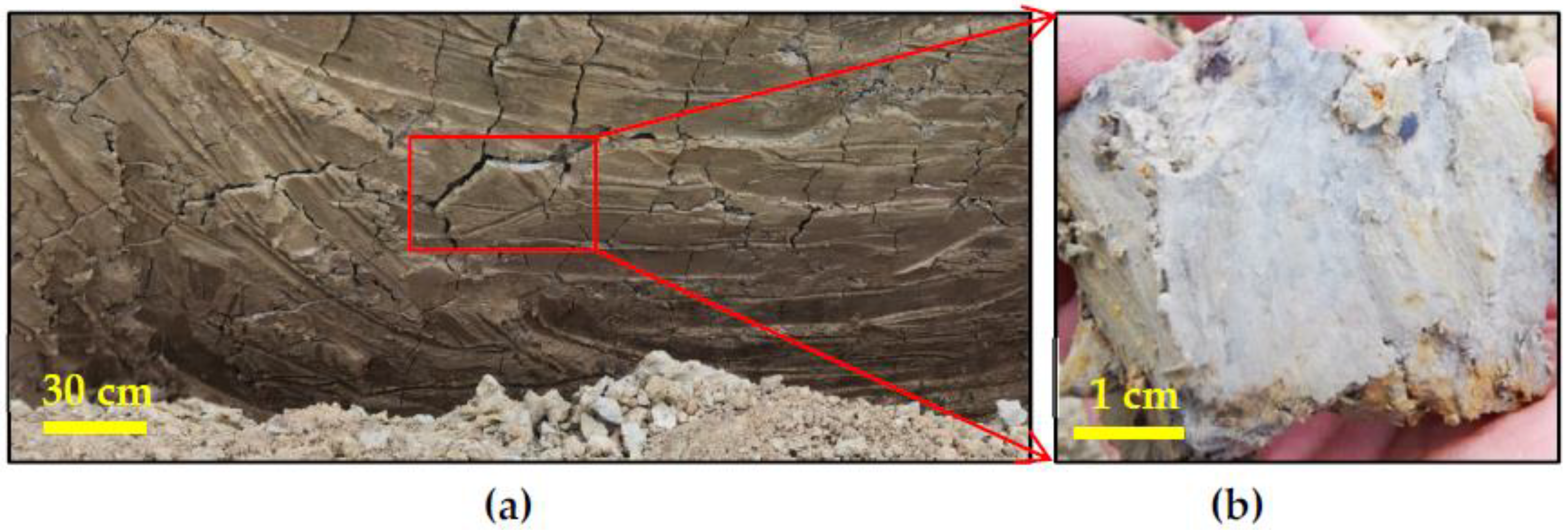 Applsci 11 10891 g002