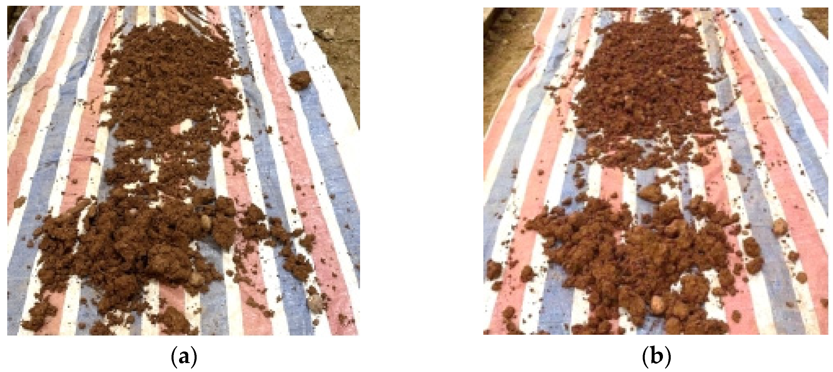 Applsci 11 10959 g010