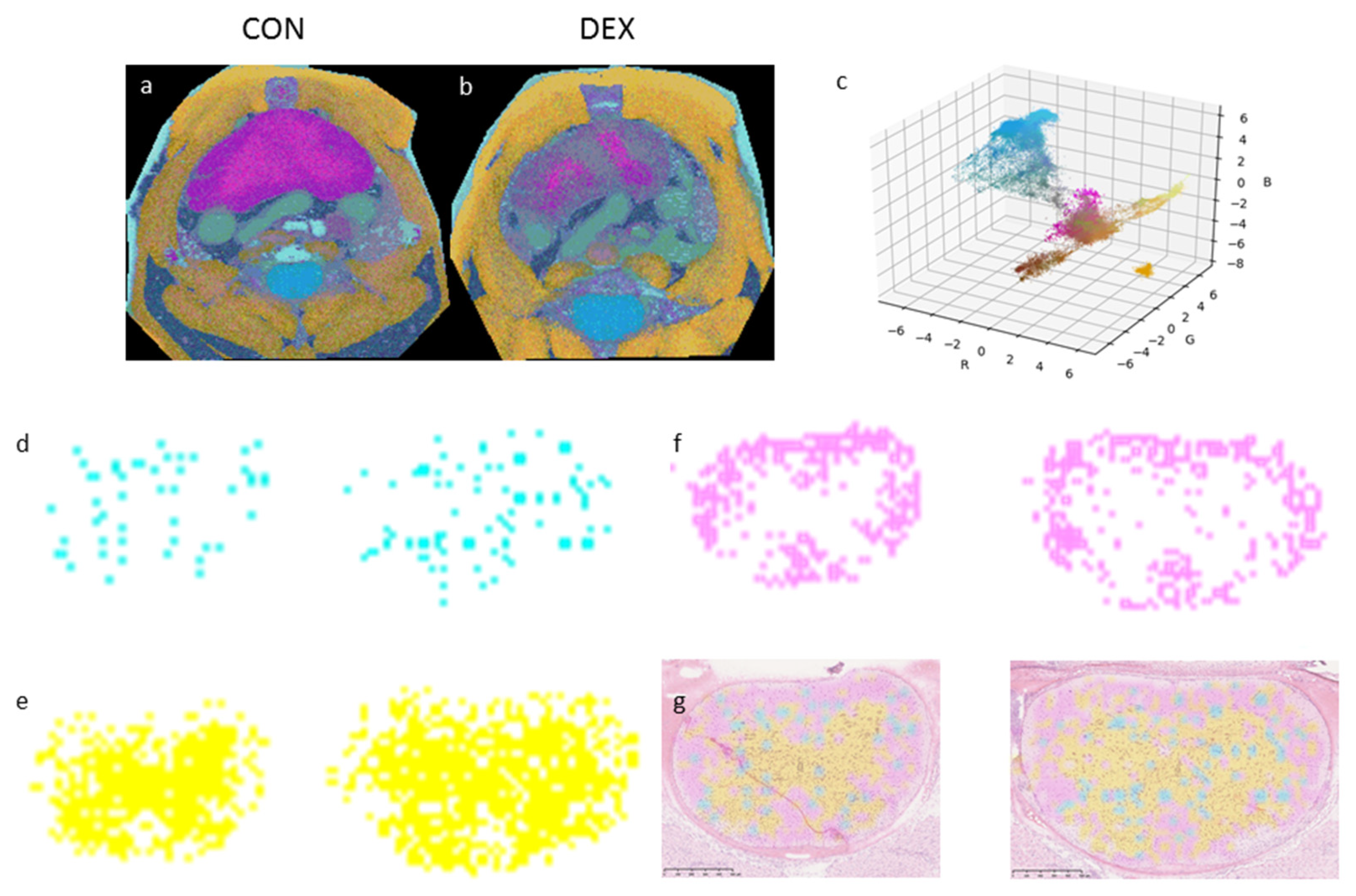 Applied Sciences | Free Full-Text | Mass Spectrometry Imaging (MSI)  Delineates Thymus-Centric Metabolism In Vivo as an Effect of Systemic  Administration of Dexamethasone