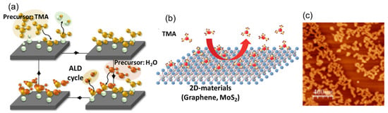 Applied Sciences | Free Full-Text | Substrate-Driven Atomic Layer Deposition  of High-&kappa; Dielectrics on 2D Materials