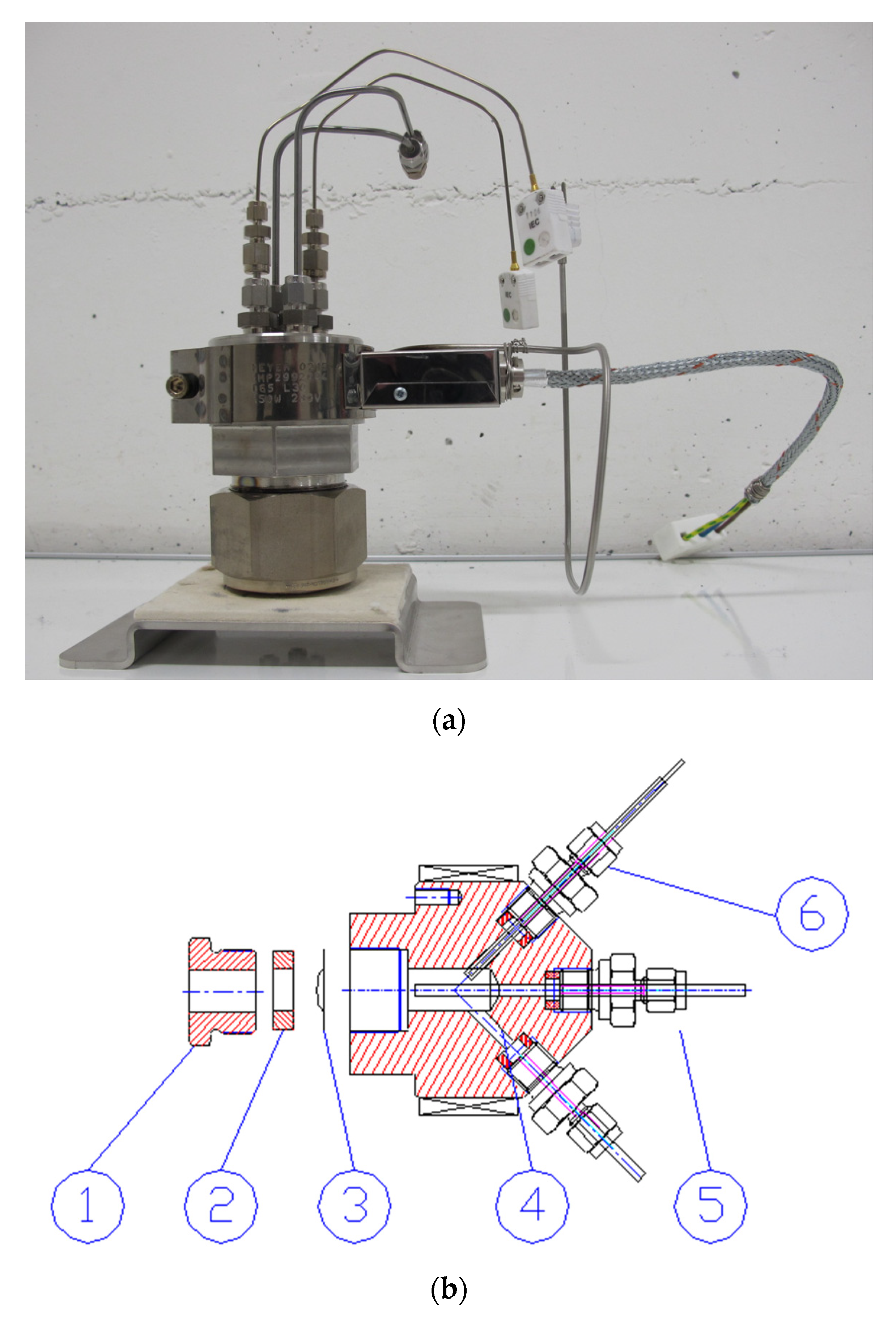 Applsci 11 11081 g004