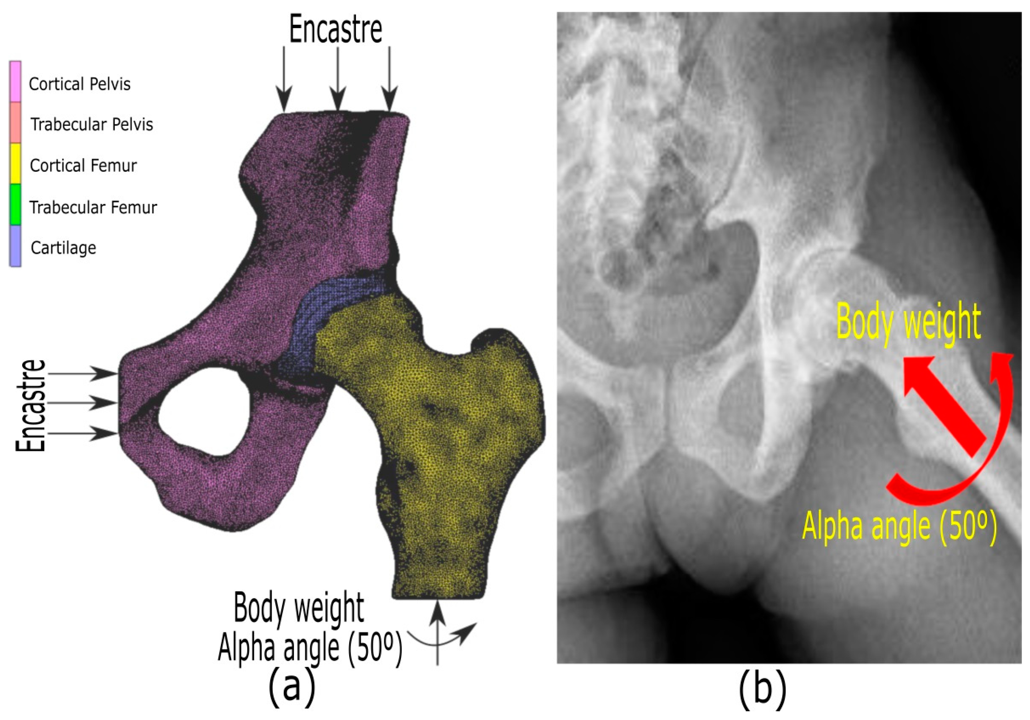 Applsci 11 11101 g006